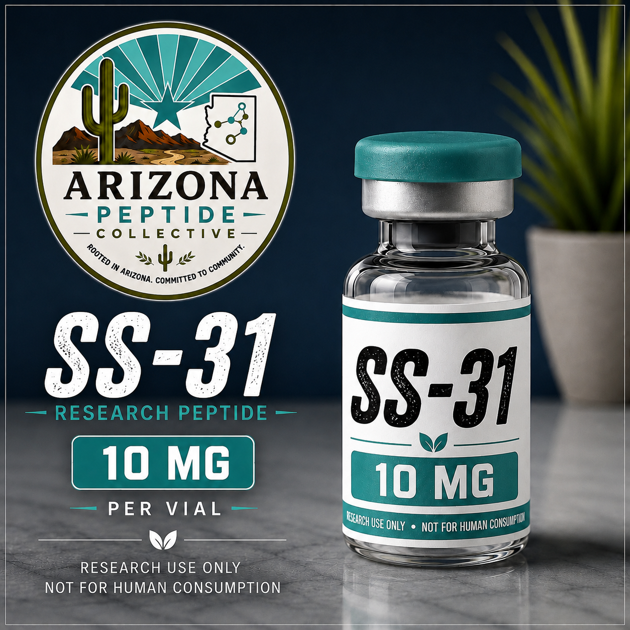 SS-31 vial pic.PNG