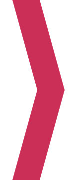 Close-up of a pink and black striped fabric or object.