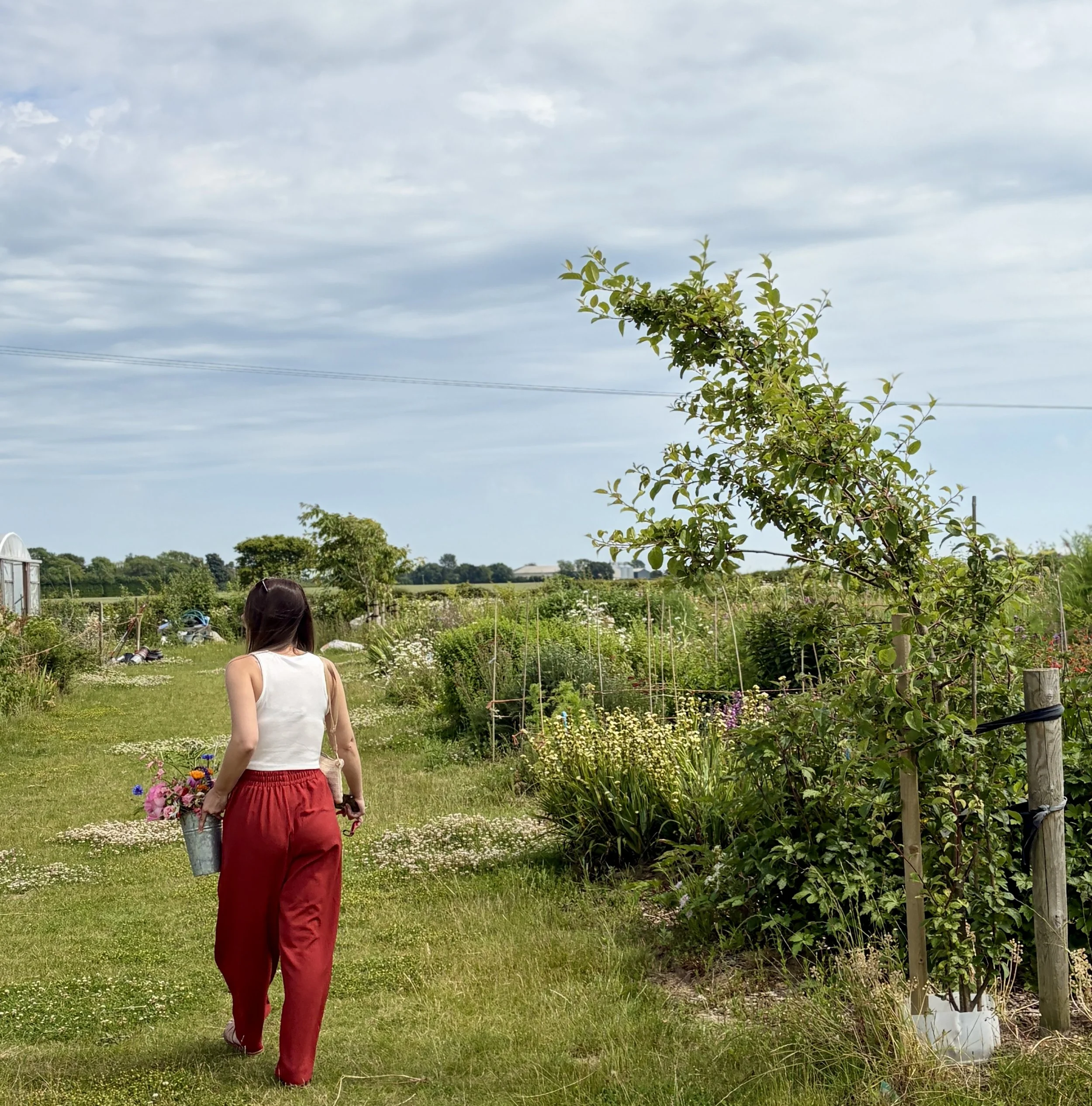 A woman with long brown hair wearing a white tank top and red pants walking through a garden, carrying a bucket of colorful flowers, under a partly cloudy sky.