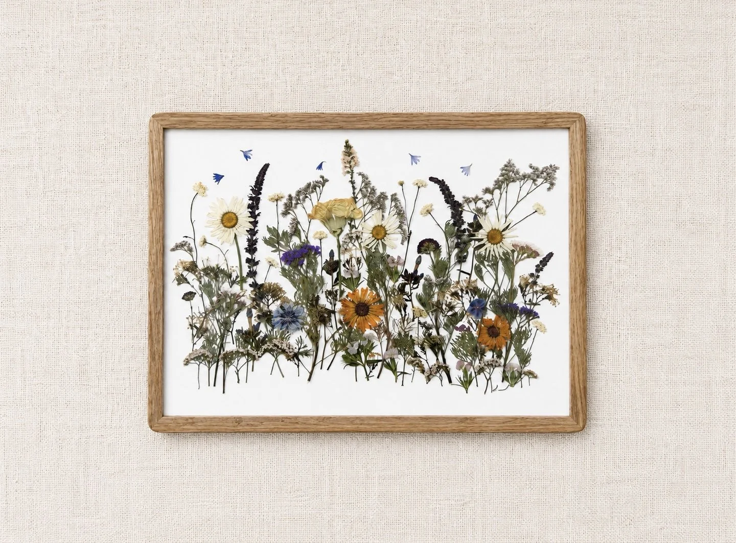 Framed arrangement of pressed wildflowers and small blue petals on a white background.