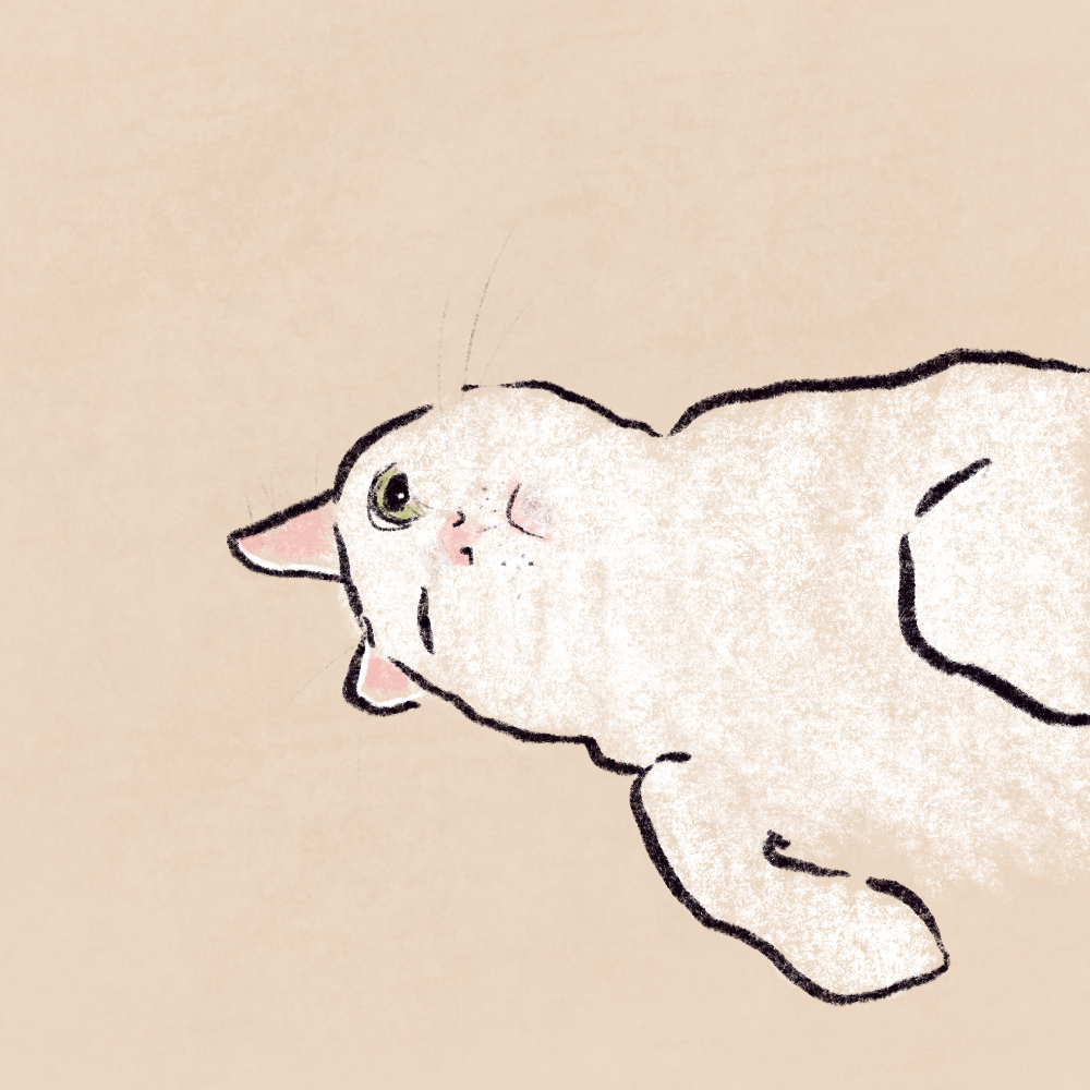 A sketch of a white cat lying on its side on a beige background, with one eye open and the other closed, and its head slightly tilted.