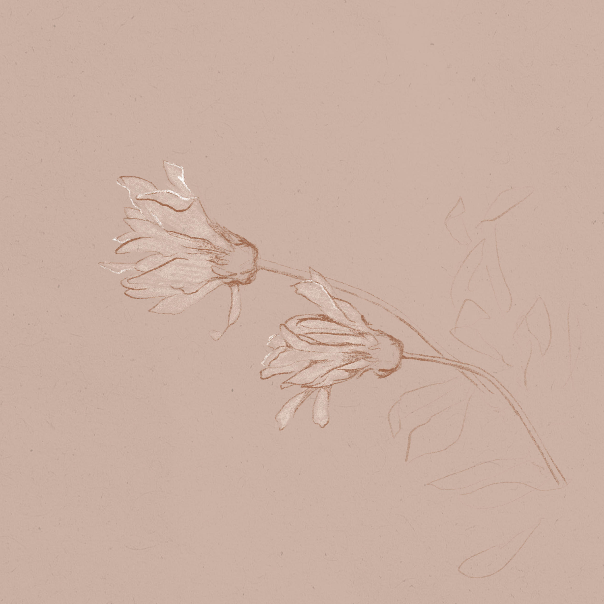 A simple illustration of a rose with leaves on a beige background.
