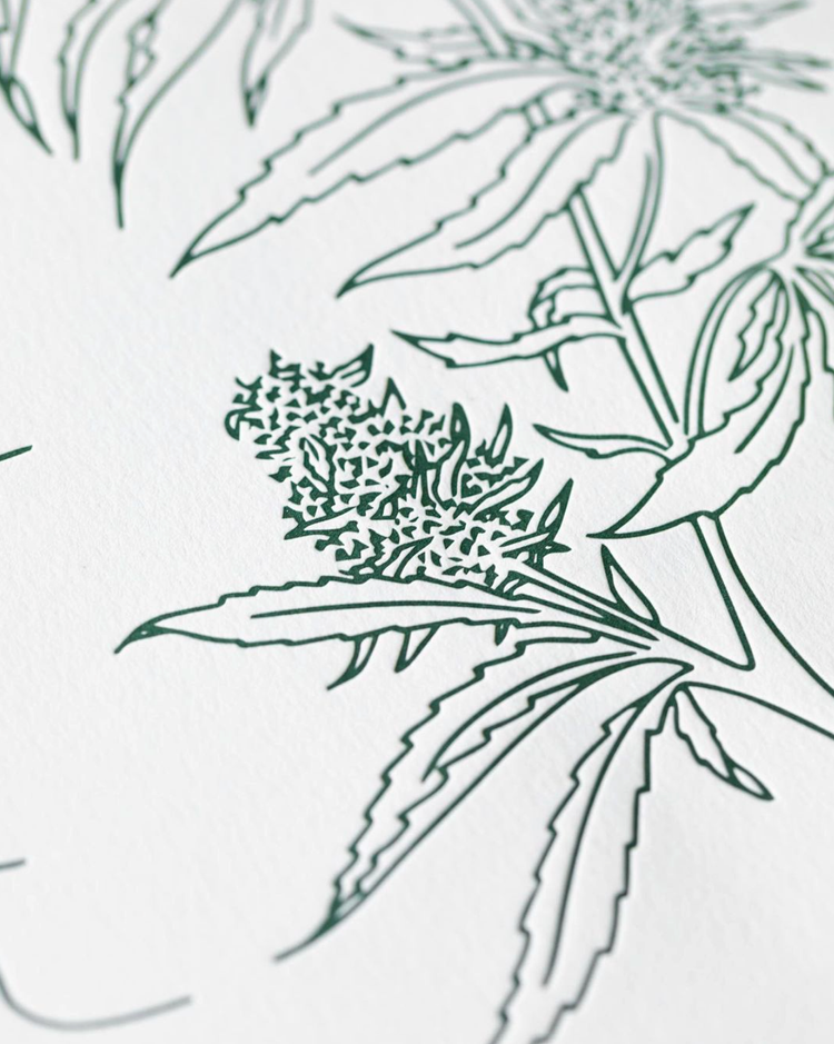 closeup3.png