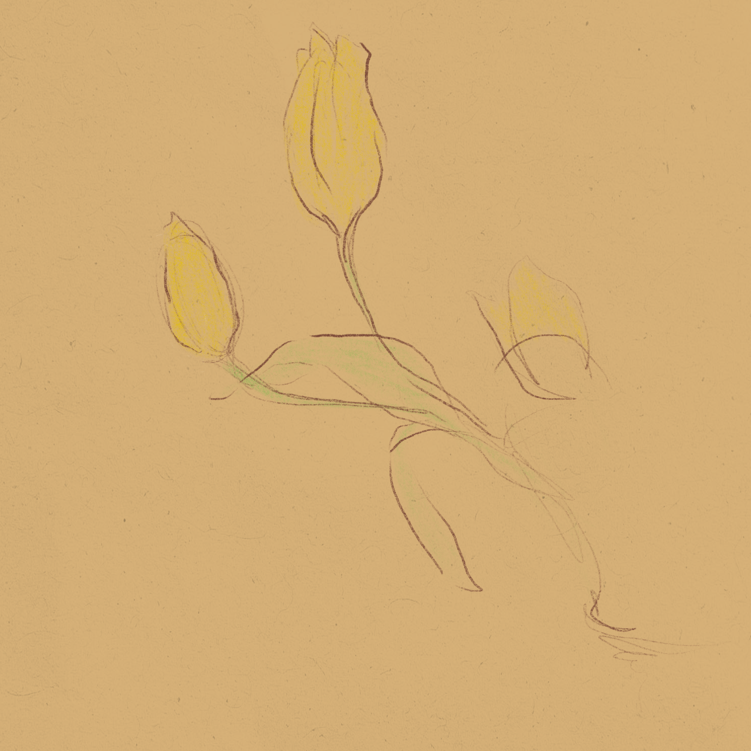 A line drawing of three yellow rosebuds on green stems set against a beige textured background.