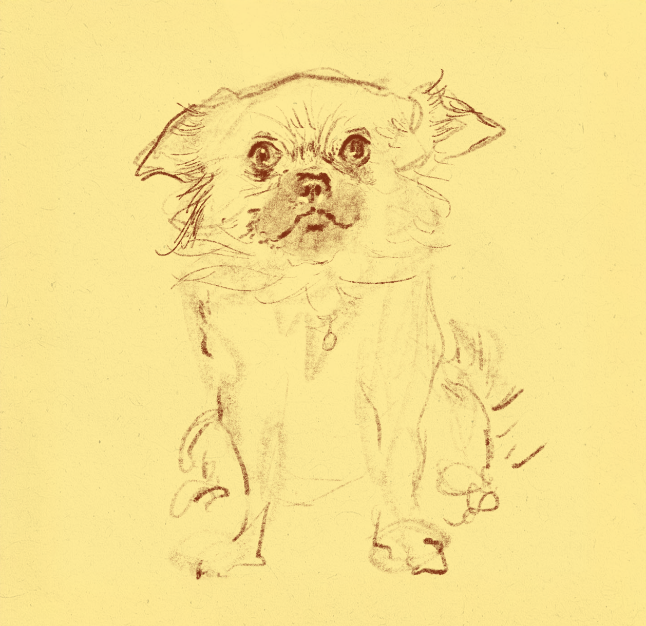 Sketch of a small dog with a collar, sitting on a yellow background.