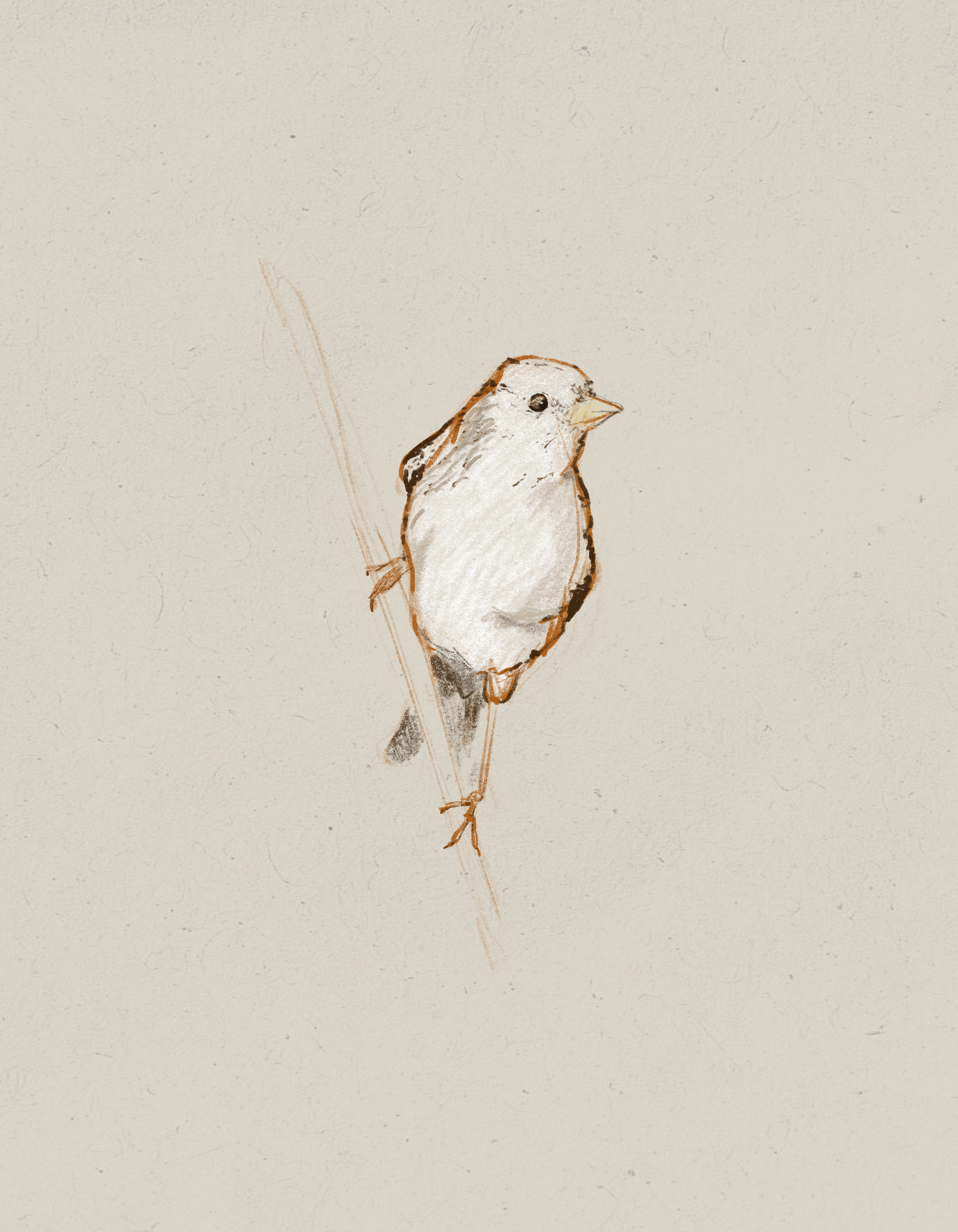 A small bird perched on a thin branch, illustrated with sketchy lines and soft colors.