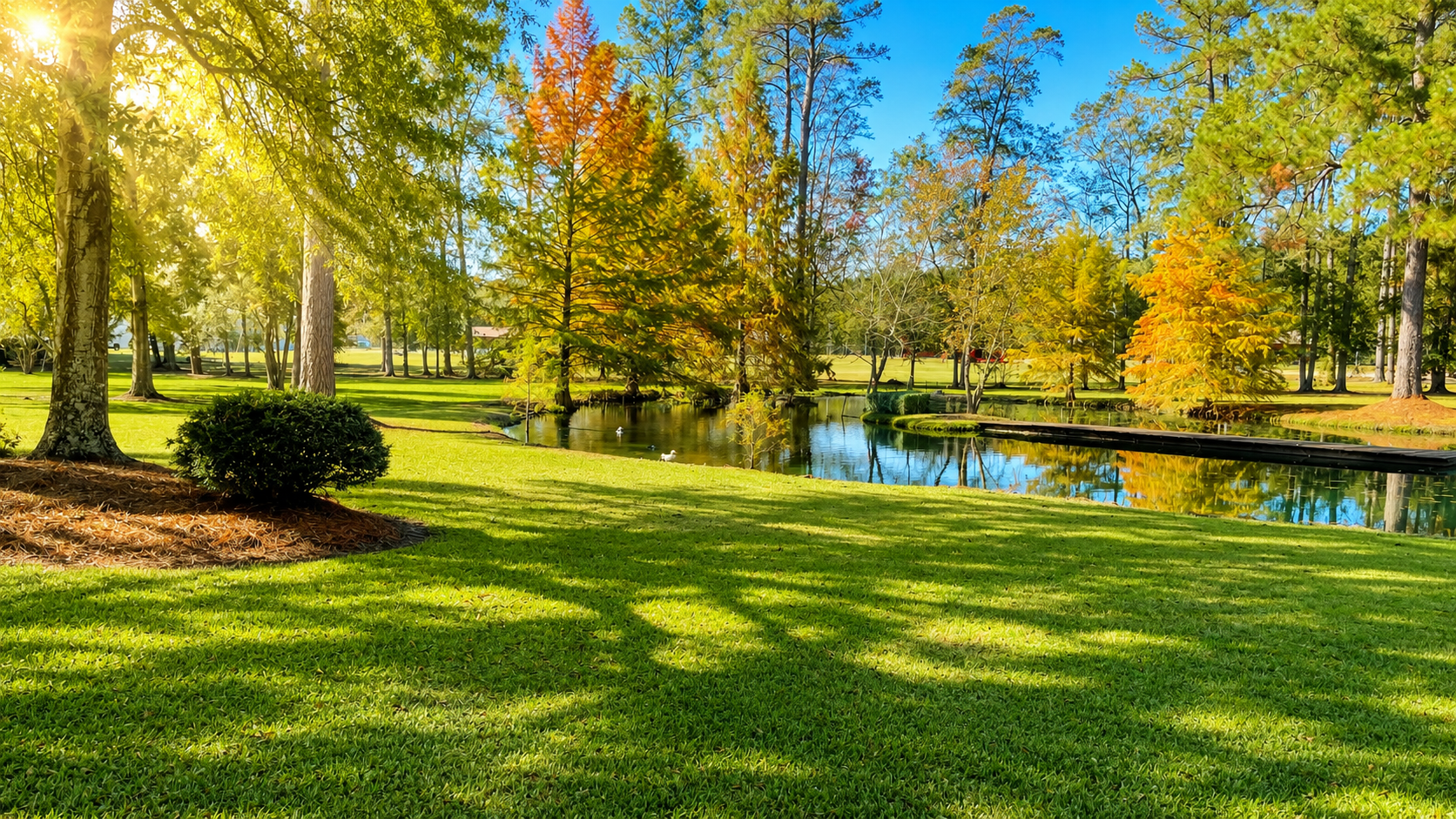 A peaceful park scene with a small pond, surrounded by green grass and trees with autumn-colored leaves, under a clear blue sky.