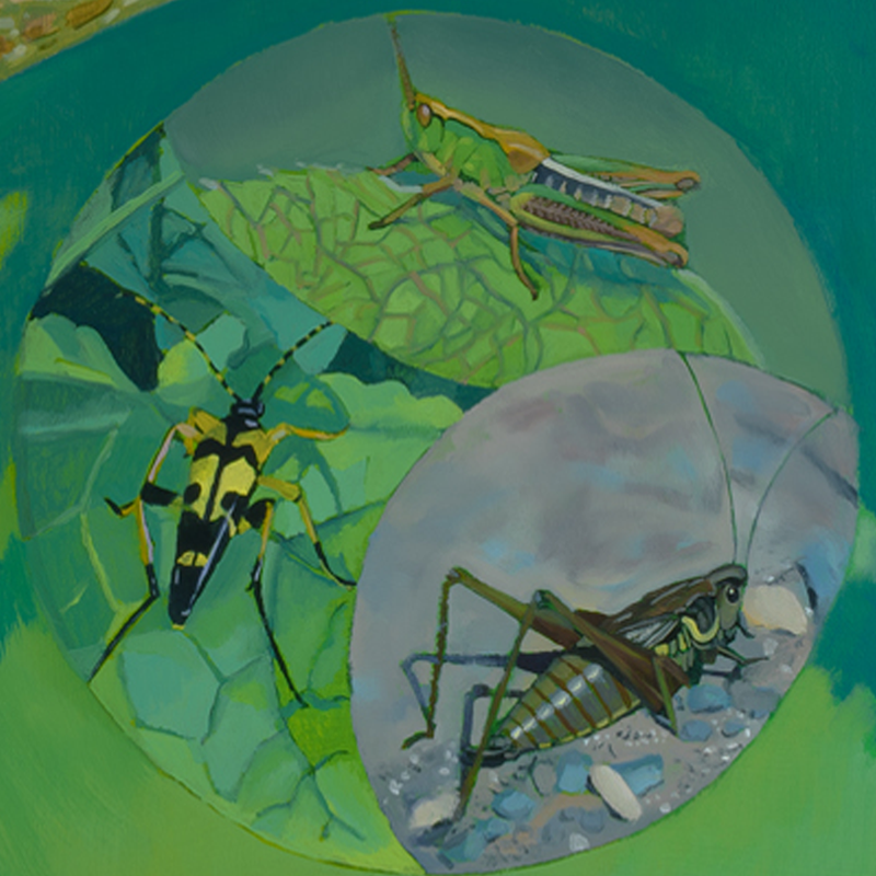 SPRINGLINE_MURAL_6A.png