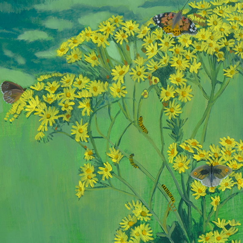 SPRINGLINE_MURAL_6C.png