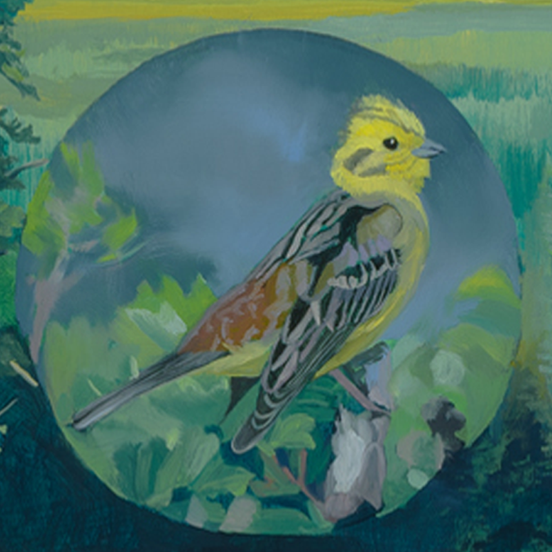 SPRINGLINE_MURAL_6B.png