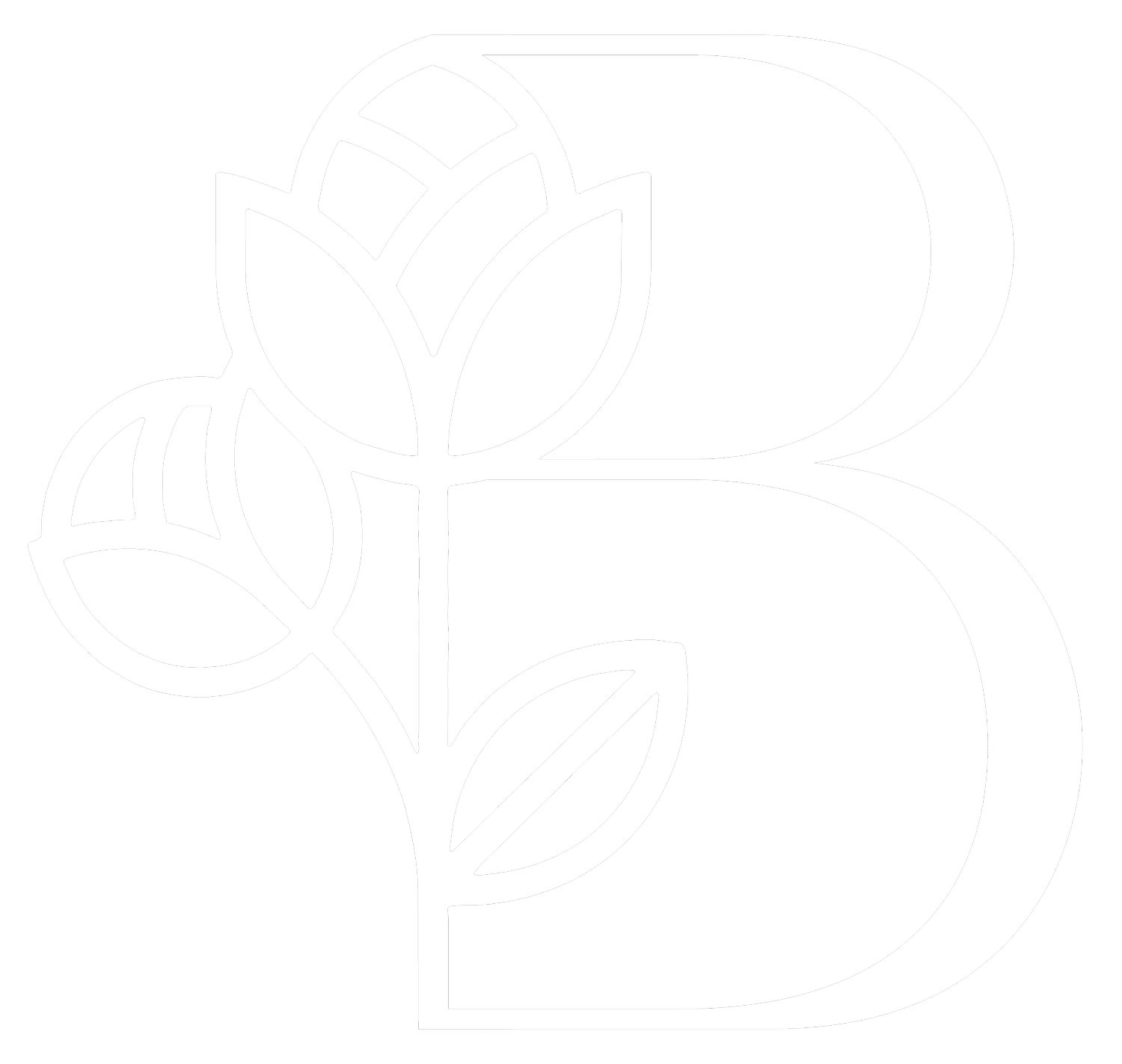 Ballindoolin House &amp; Gardens