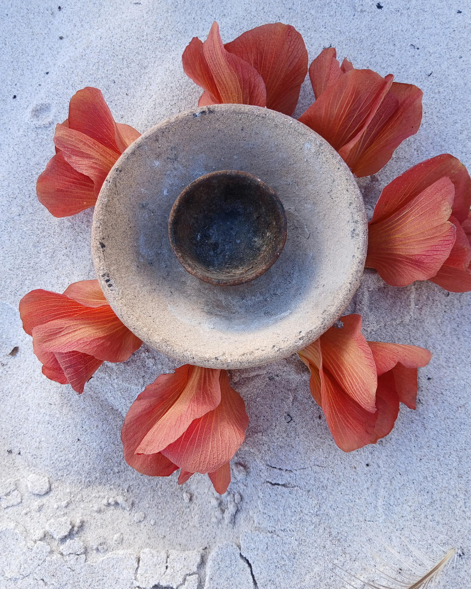 A small candle holder surrounded by red-orange flower petals on sandy ground.