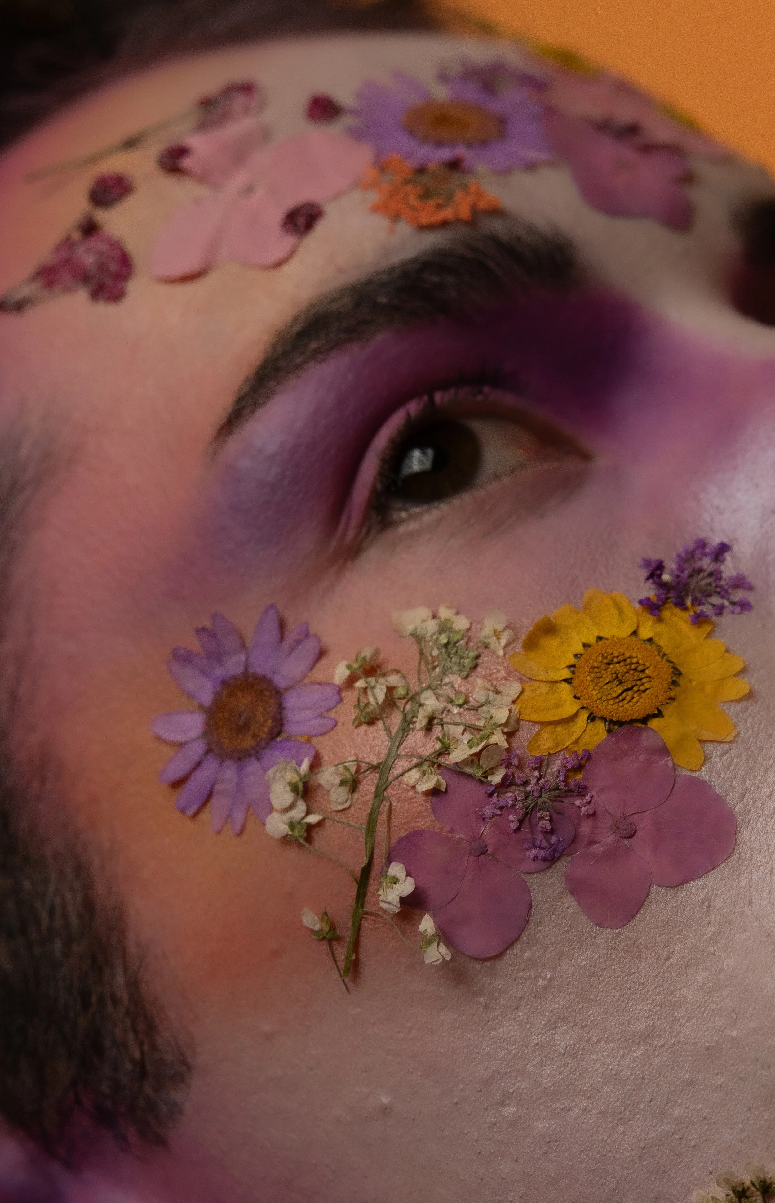 Artistique & Editorial