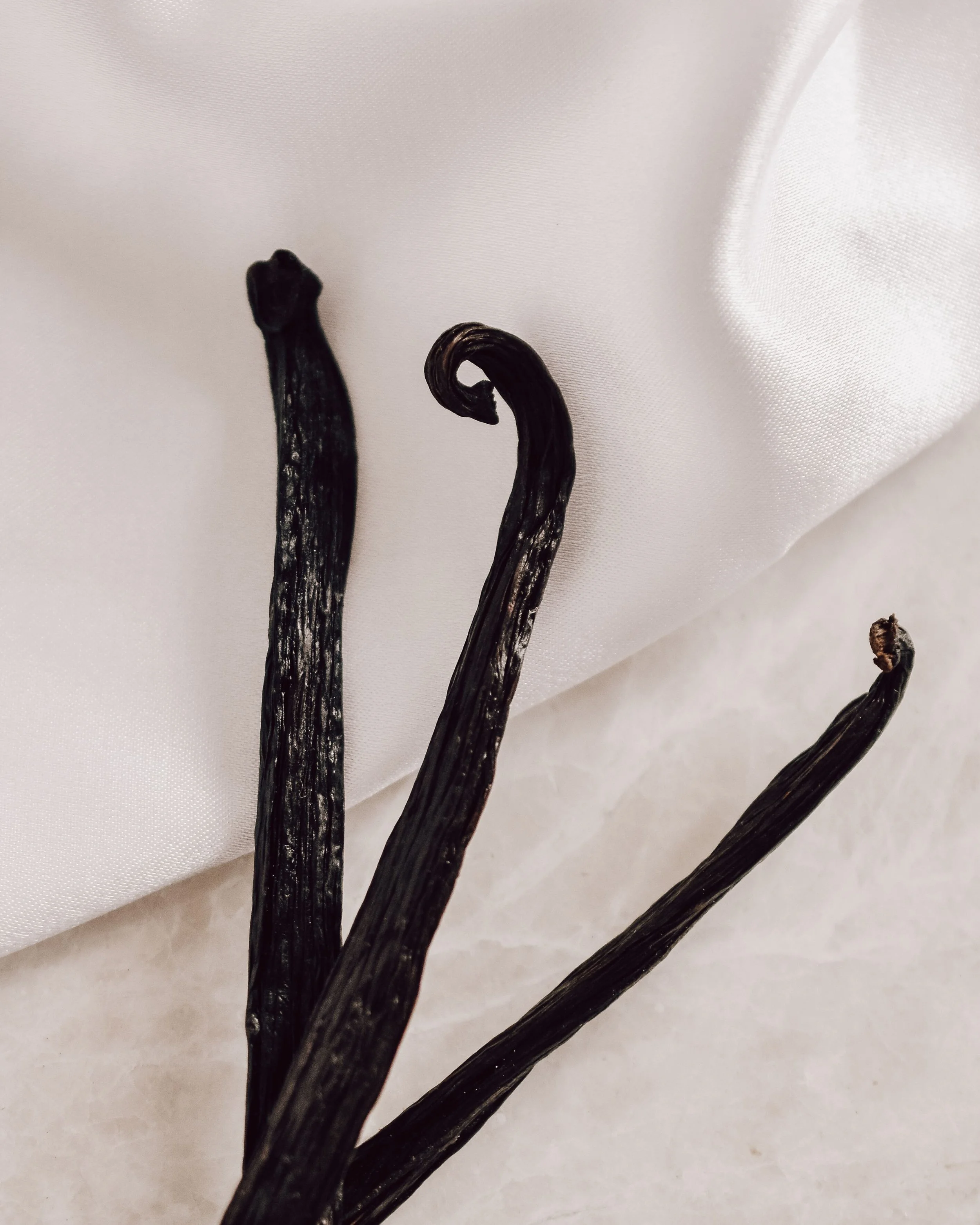 Close-up of three burnt black vanilla beans on a white silky fabric background.