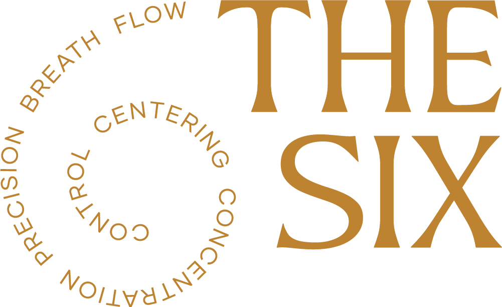 A black background with gold text that reads 'The Six' and a circular arrangement of the words 'Precision Breath Flow Centering Control Concentration'.