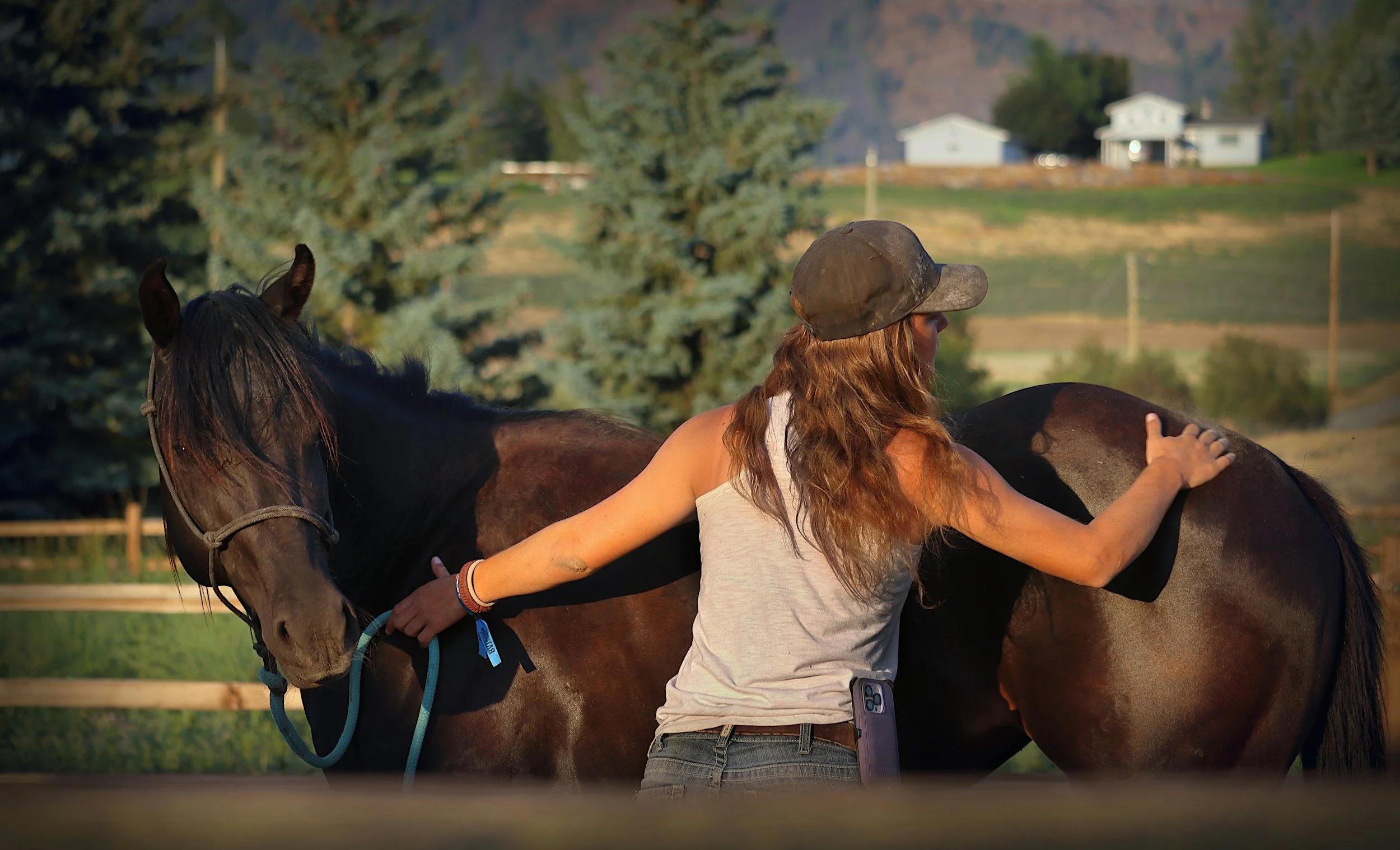 Una mujer con cabello rizado y gorras tocando la grupa de un caballo oscuro en un campo con árboles y casas al fondo, durante una sesión de constelaciones grupal con caballos