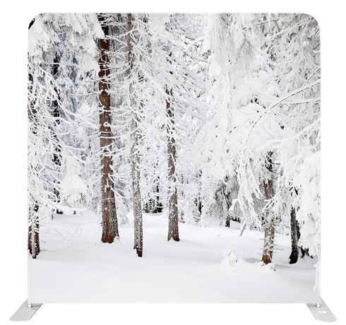 Snowy Winter