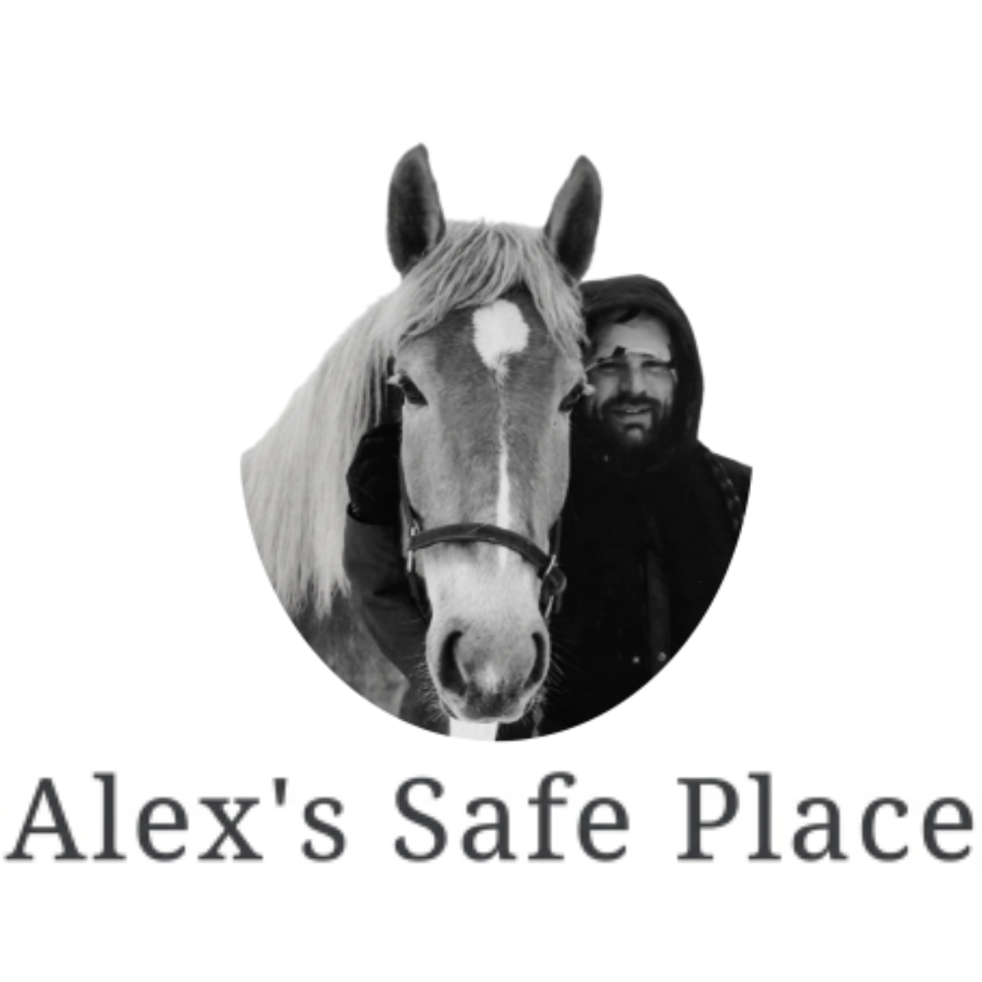 Alex's Safe Place logo