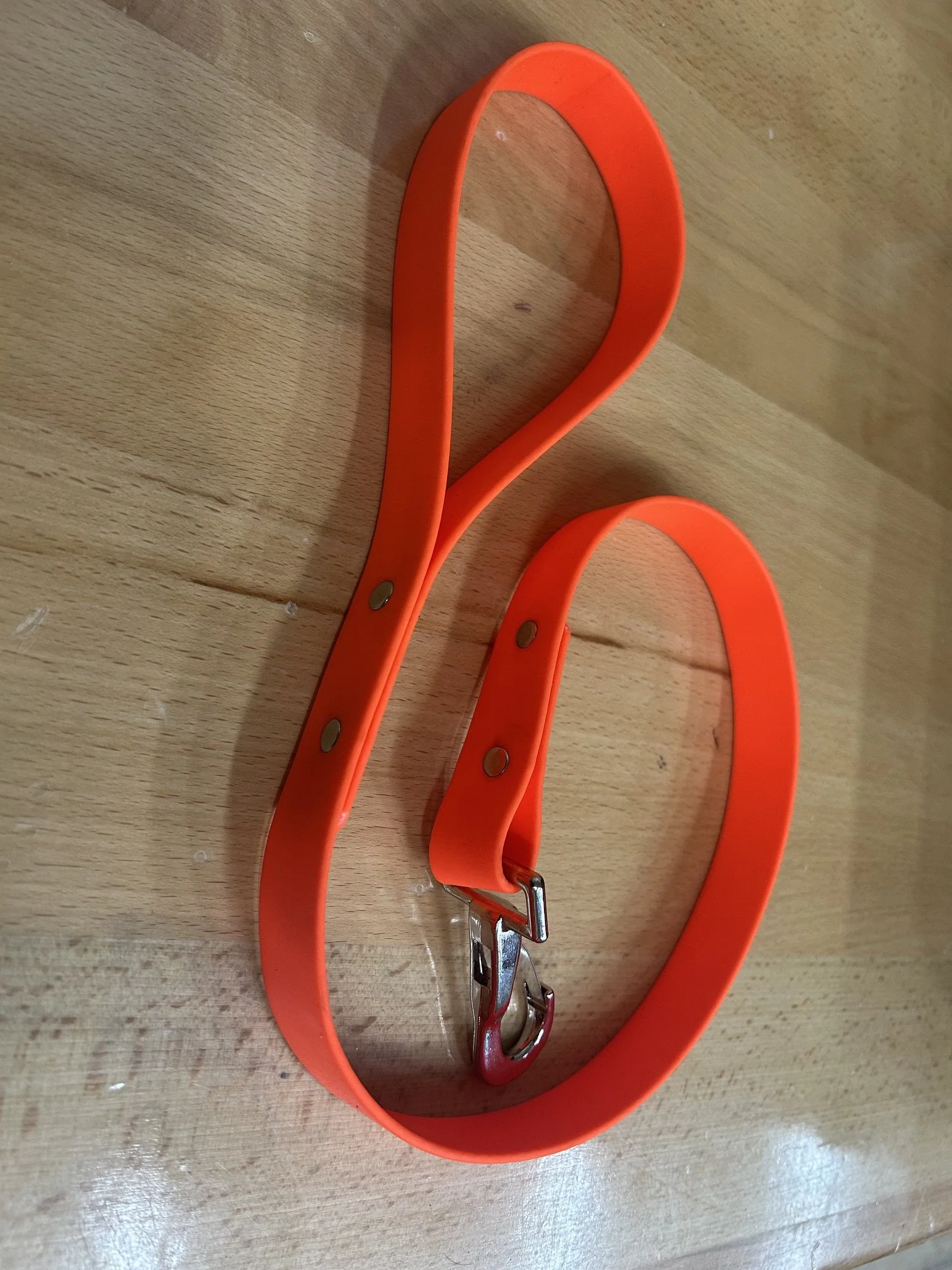 Orange Biothane Dog Leash