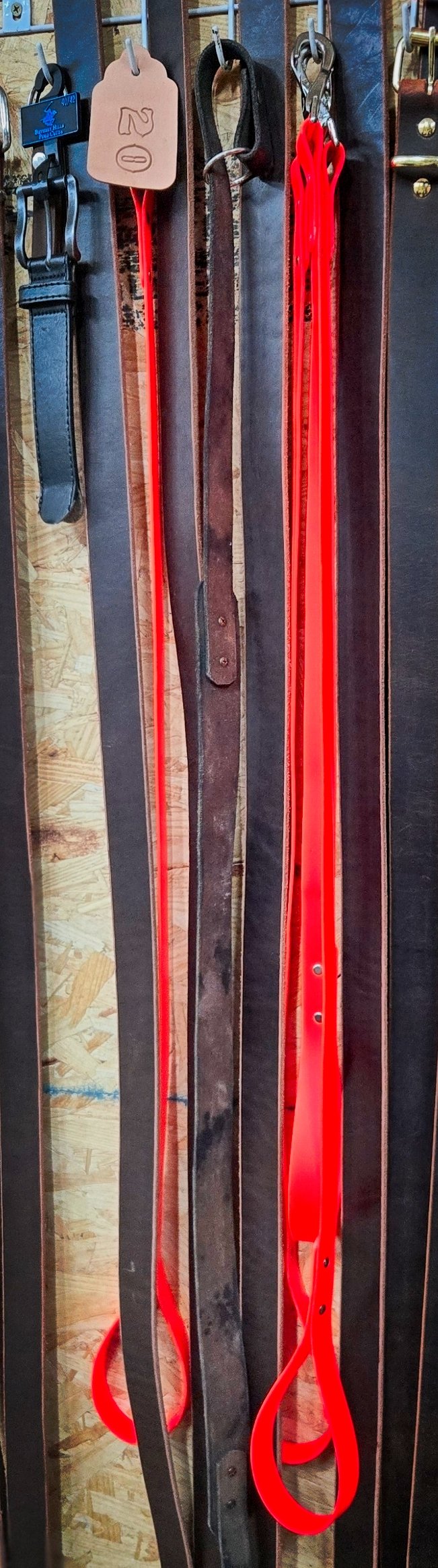 Orange Biothane Dog Leash