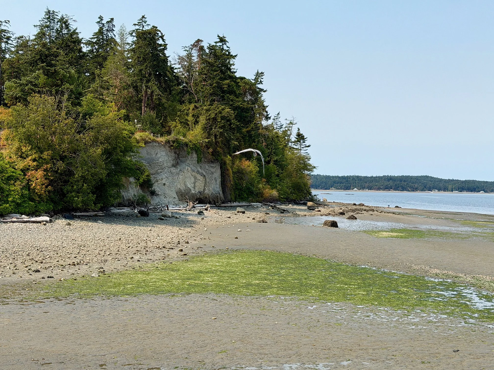 Views of lovely Penn Cove