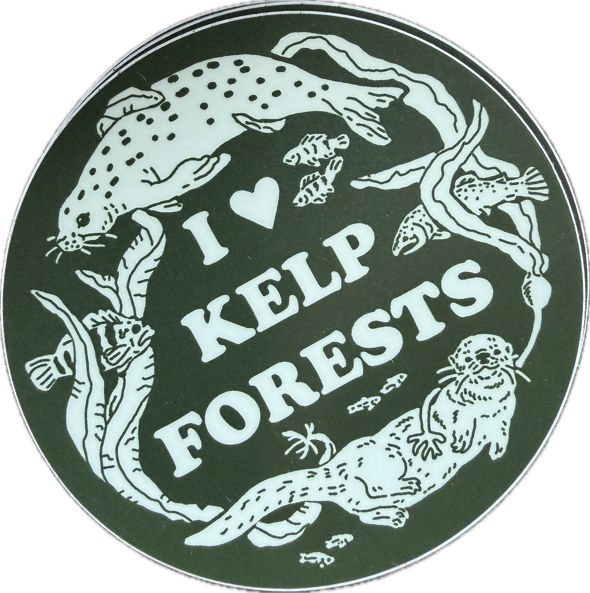 A green circular sticker featuring a white illustration of a leopard and a frog with the name 'YETI' in bold white letters.