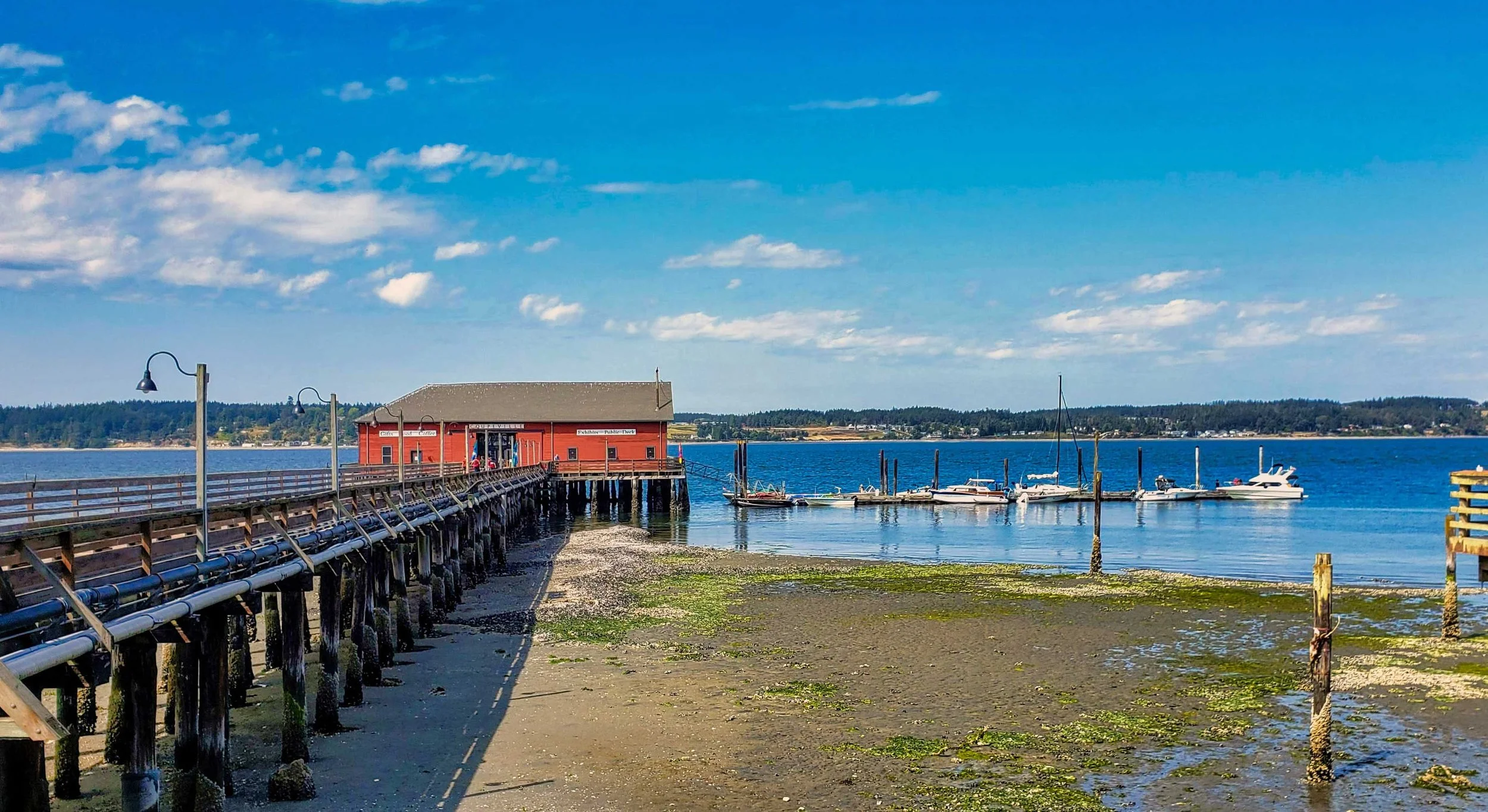A waterfront scene with a wooden pier and a red building at the end of the pier, several boats docked in the water, a clear blue sky with some clouds, and a distant shoreline with trees.
