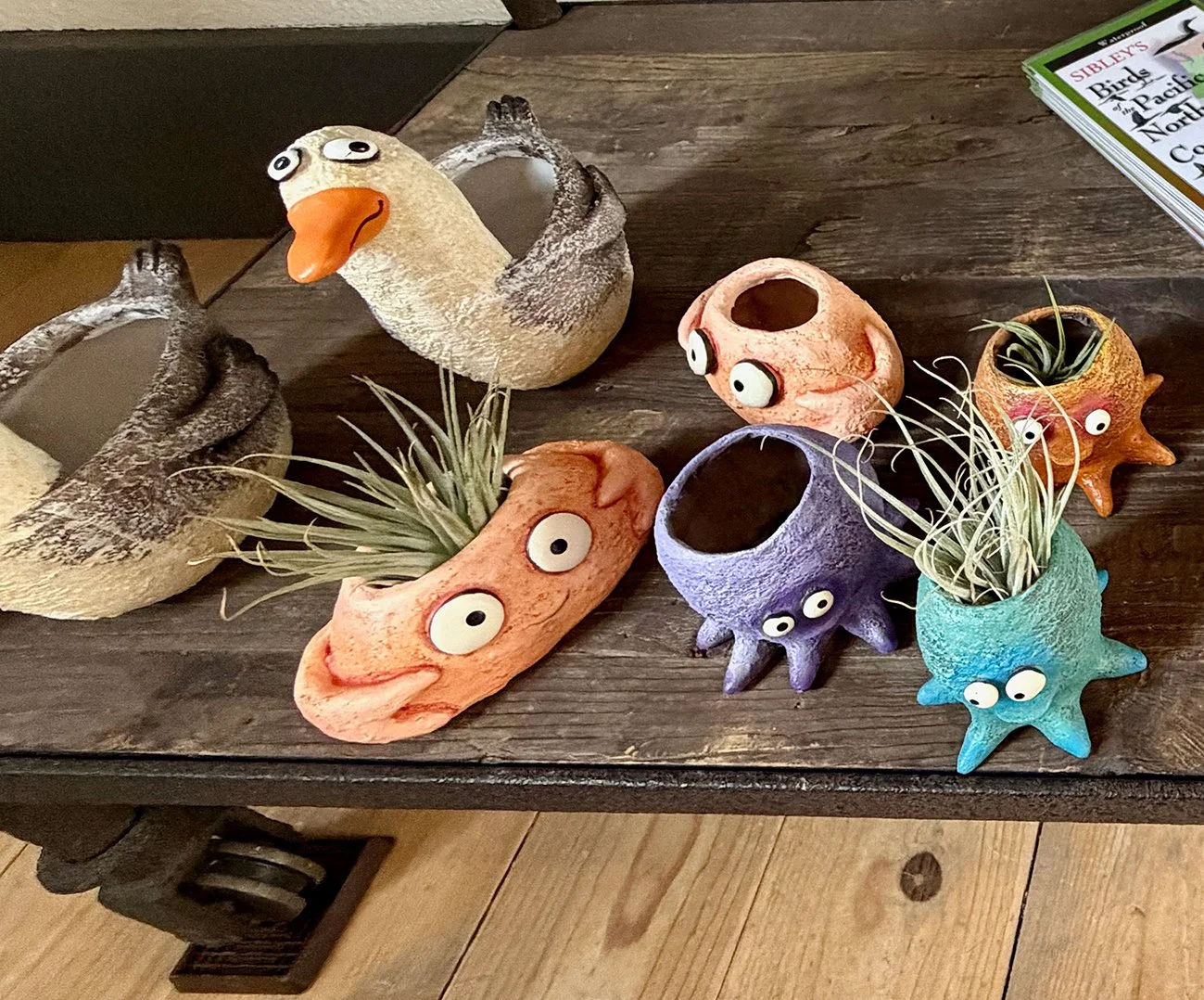 Decorative planters on a wooden table, designed to look like various sea creatures with googly eyes and plants growing in some of them.