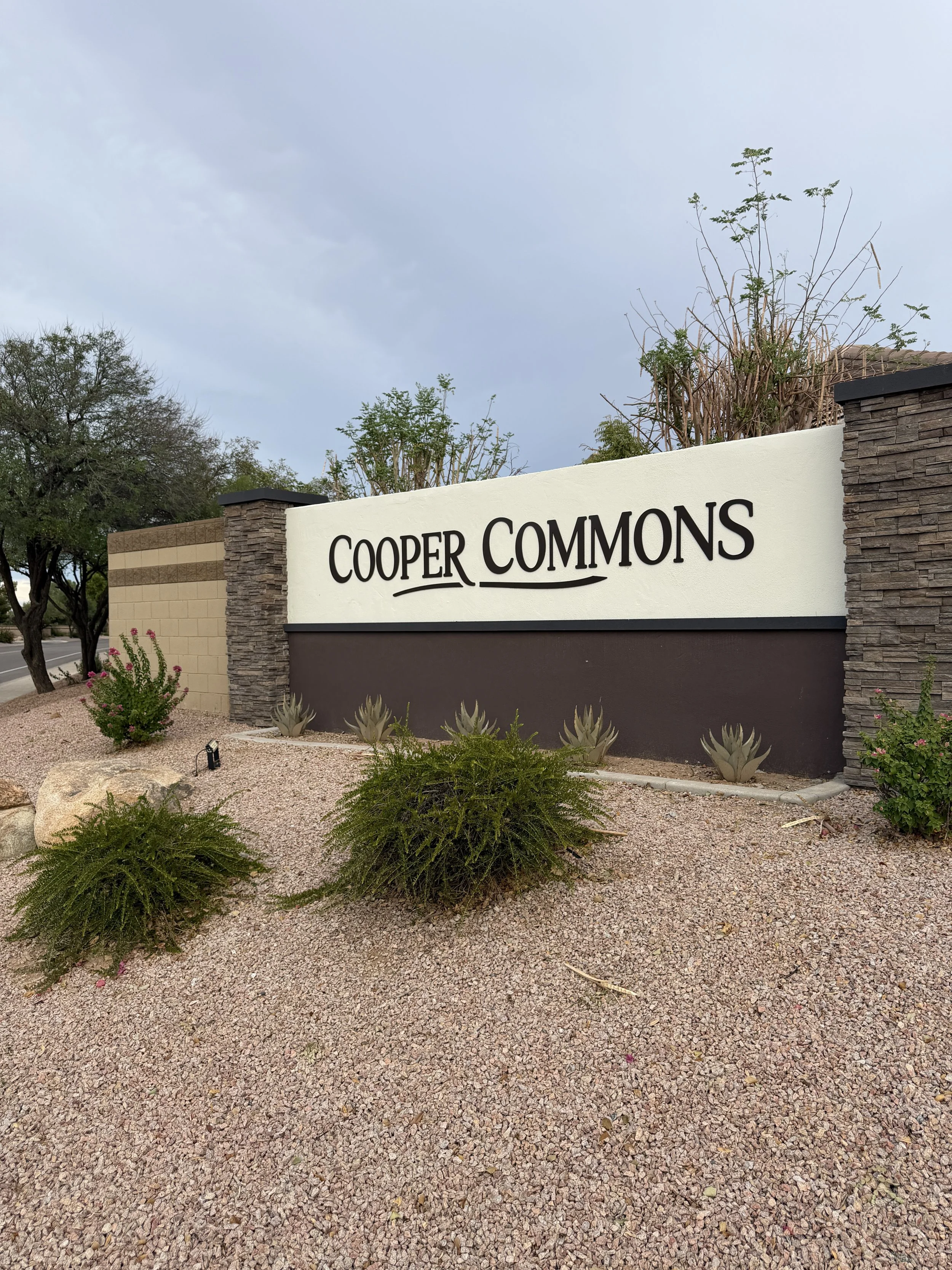 Living in Cooper Commons: A Chandler Neighborhood Guide