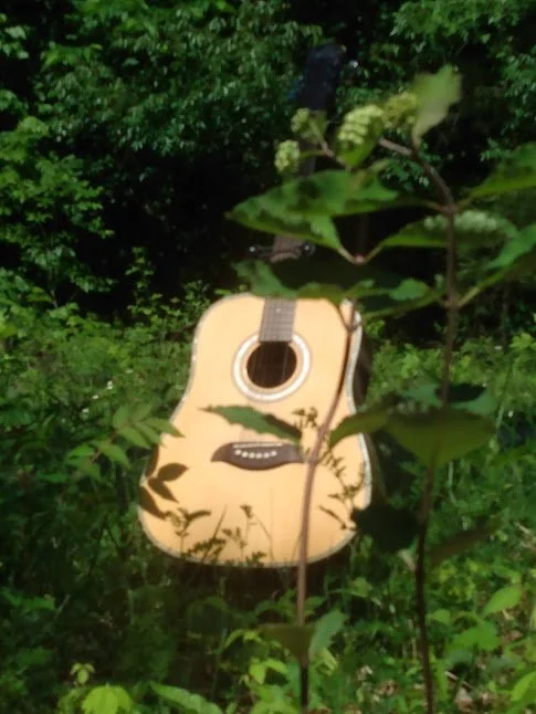 guitarphoto.jpg