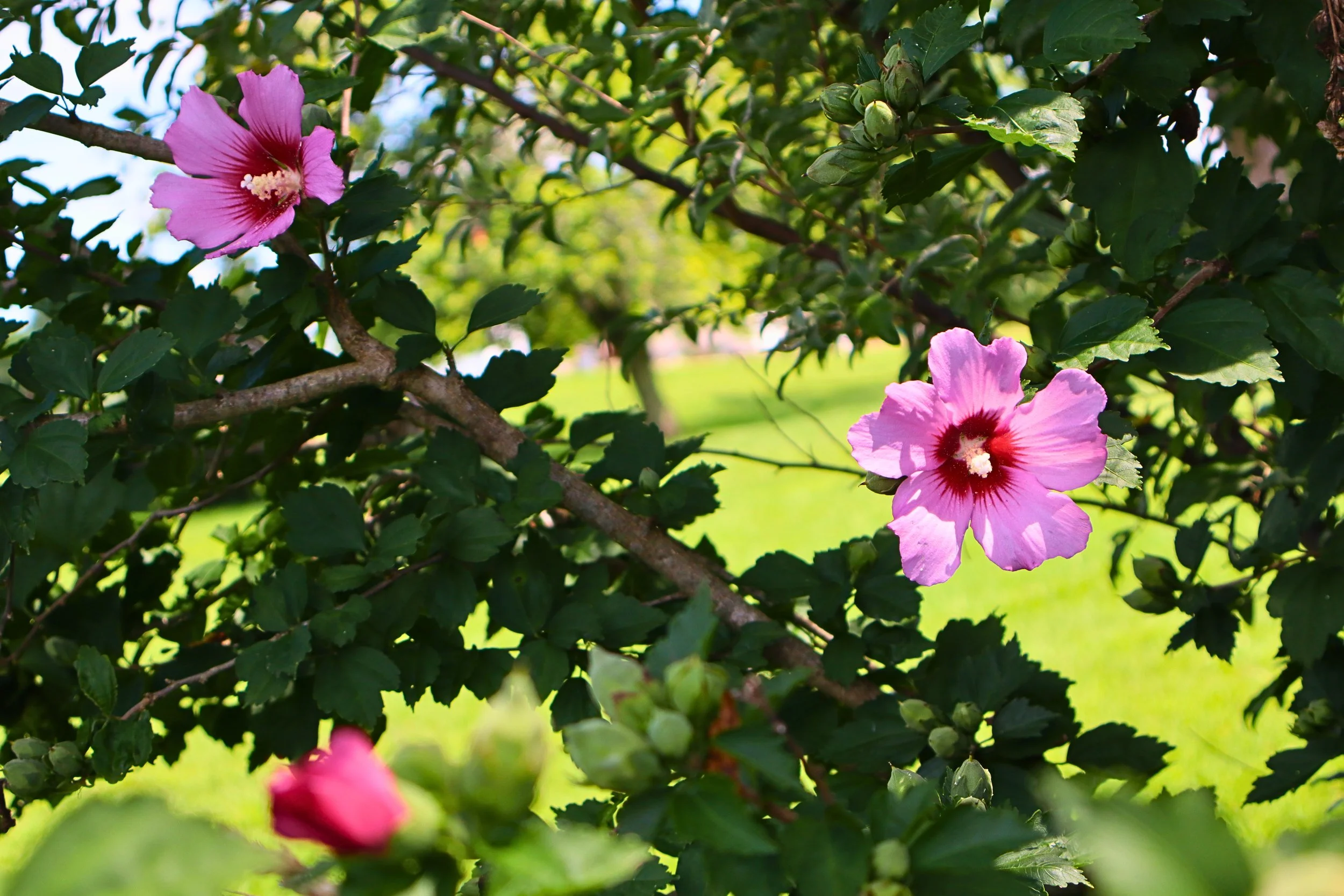 IMG_0600 - Edited.jpg