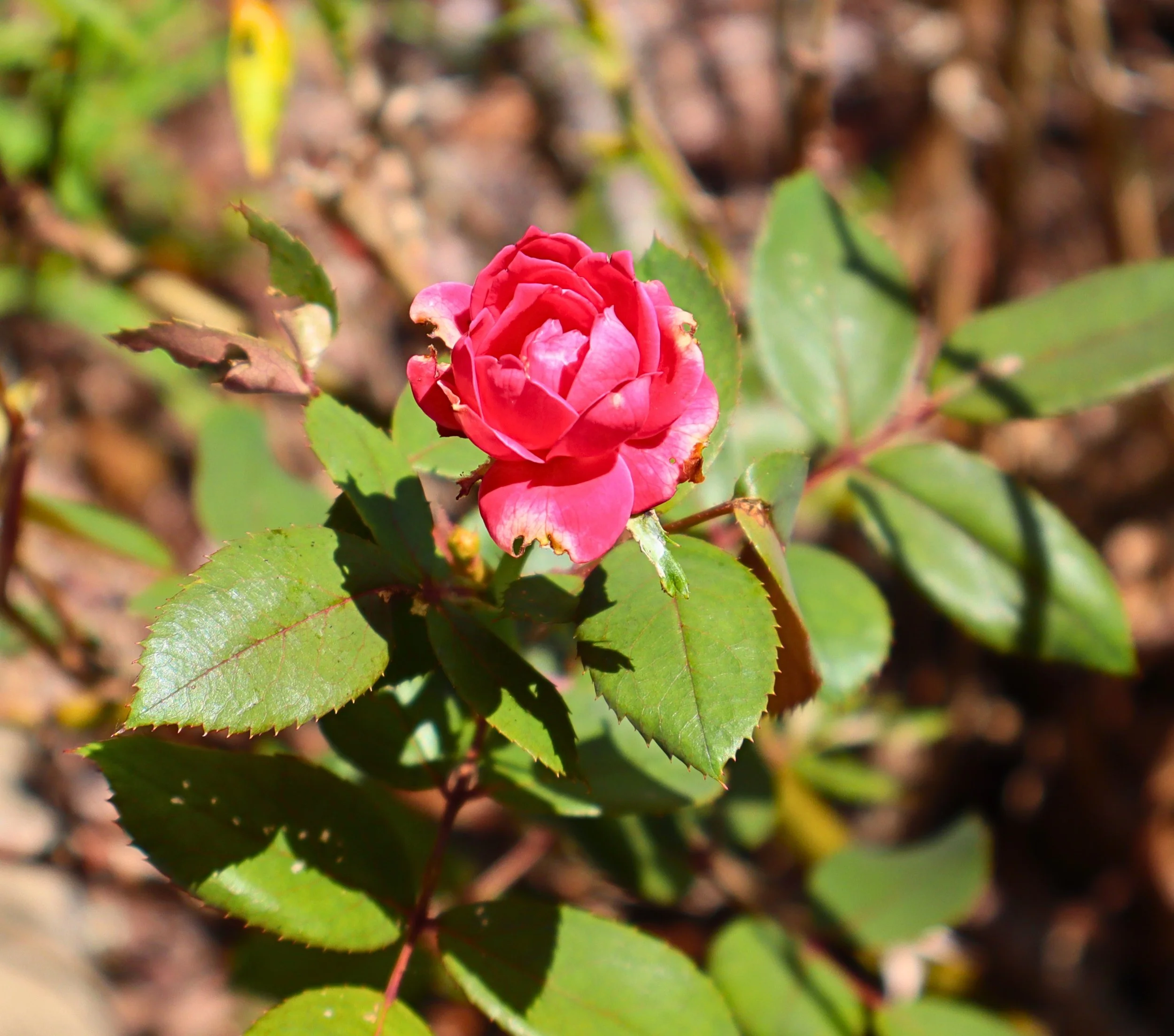 IMG_0616 - Edited.jpg