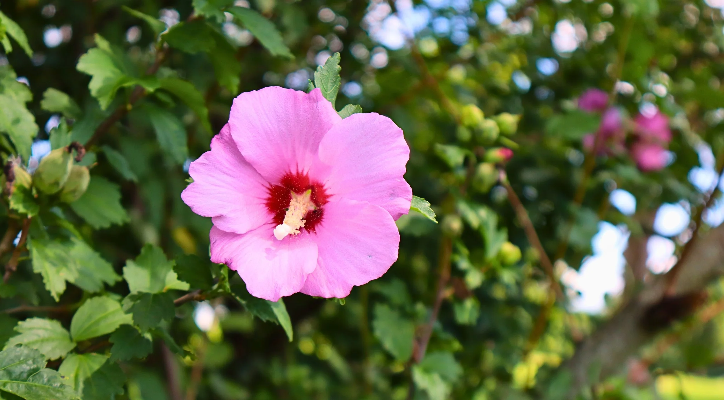 IMG_0601 - Edited.jpg