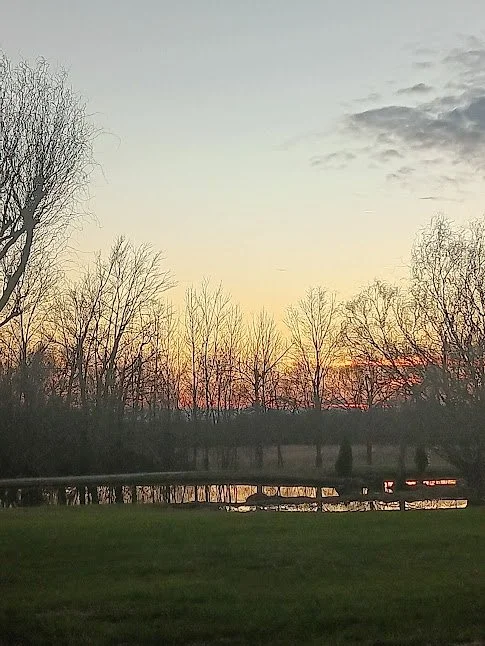 pondsunsetphoto.jpg