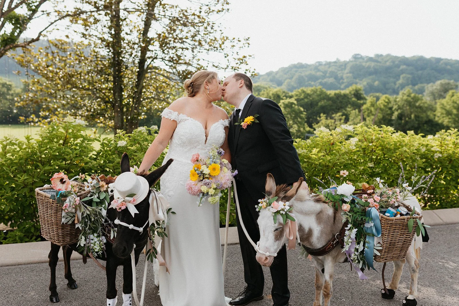 A bride and groom kissing outdoors during a wedding, standing between two decorated donkeys with baskets of flowers and goods. The background features trees and a hilly landscape.