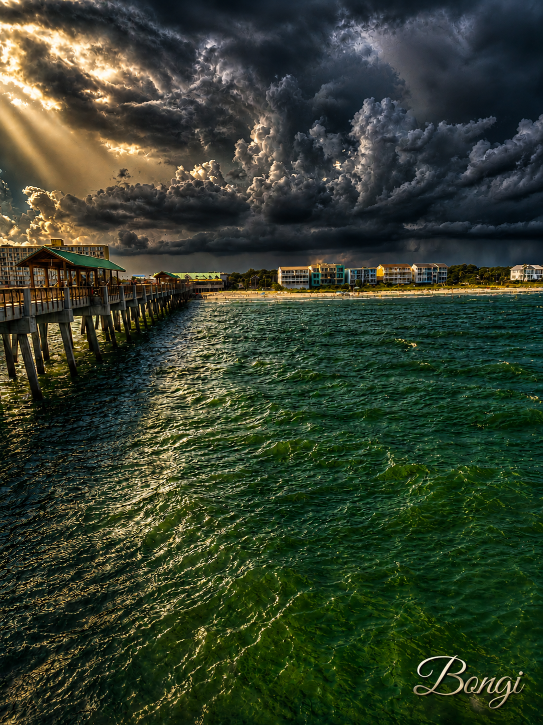 Storm Over the Lowcountry