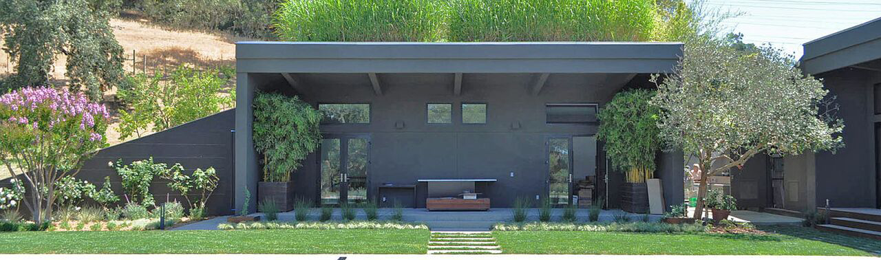 Modern house with a green lawn, trees, and flowering bushes in front, gray exterior walls, and large windows.