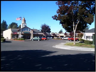 A shopping plaza with a clock tower, American flag, trees, parked cars, and storefronts against a blue sky.