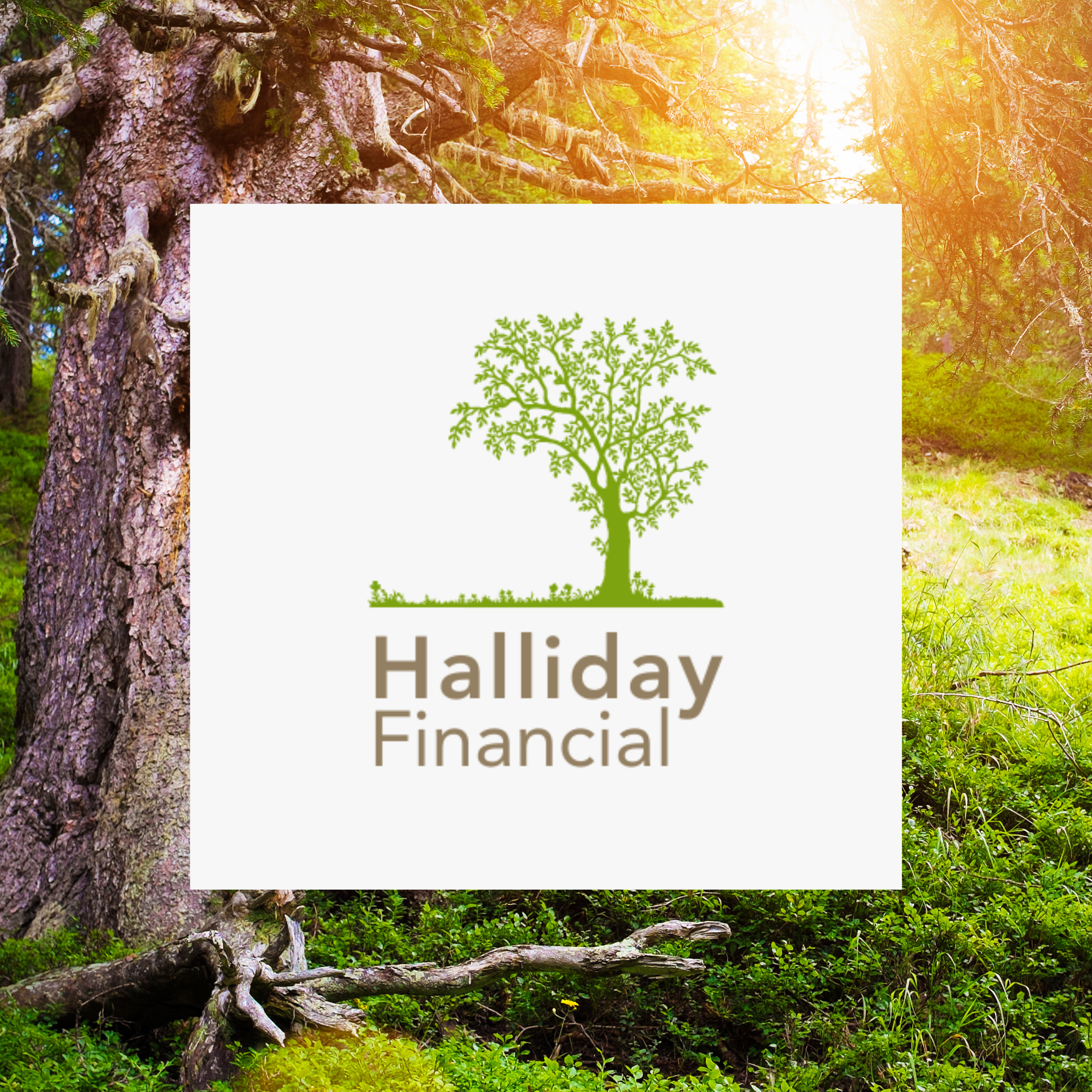 Halliday Financial Brand Refresh
