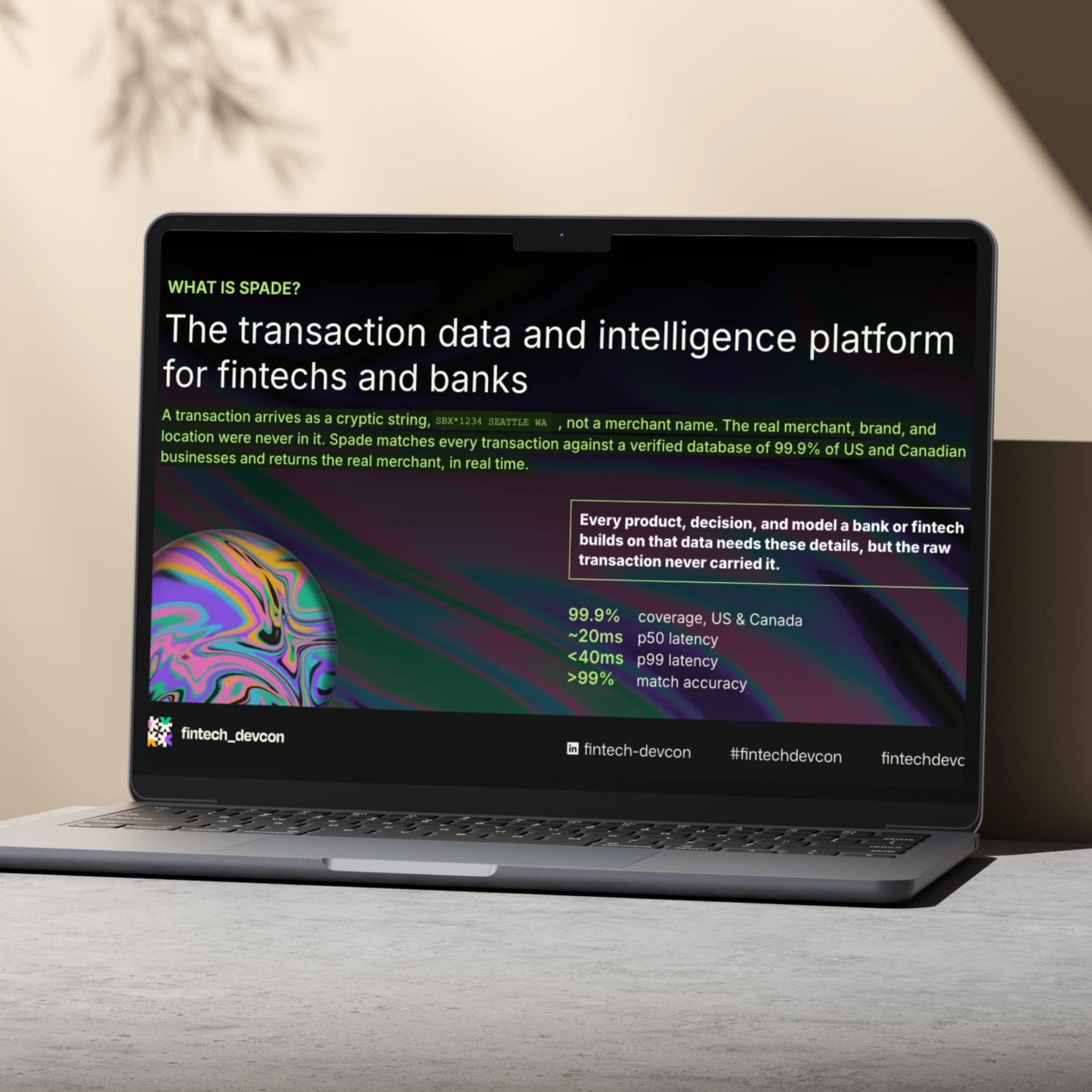 A laptop displaying a webpage with information about a transaction data and intelligence platform for fintechs and banks, on a light-colored desk with a plant in the background.