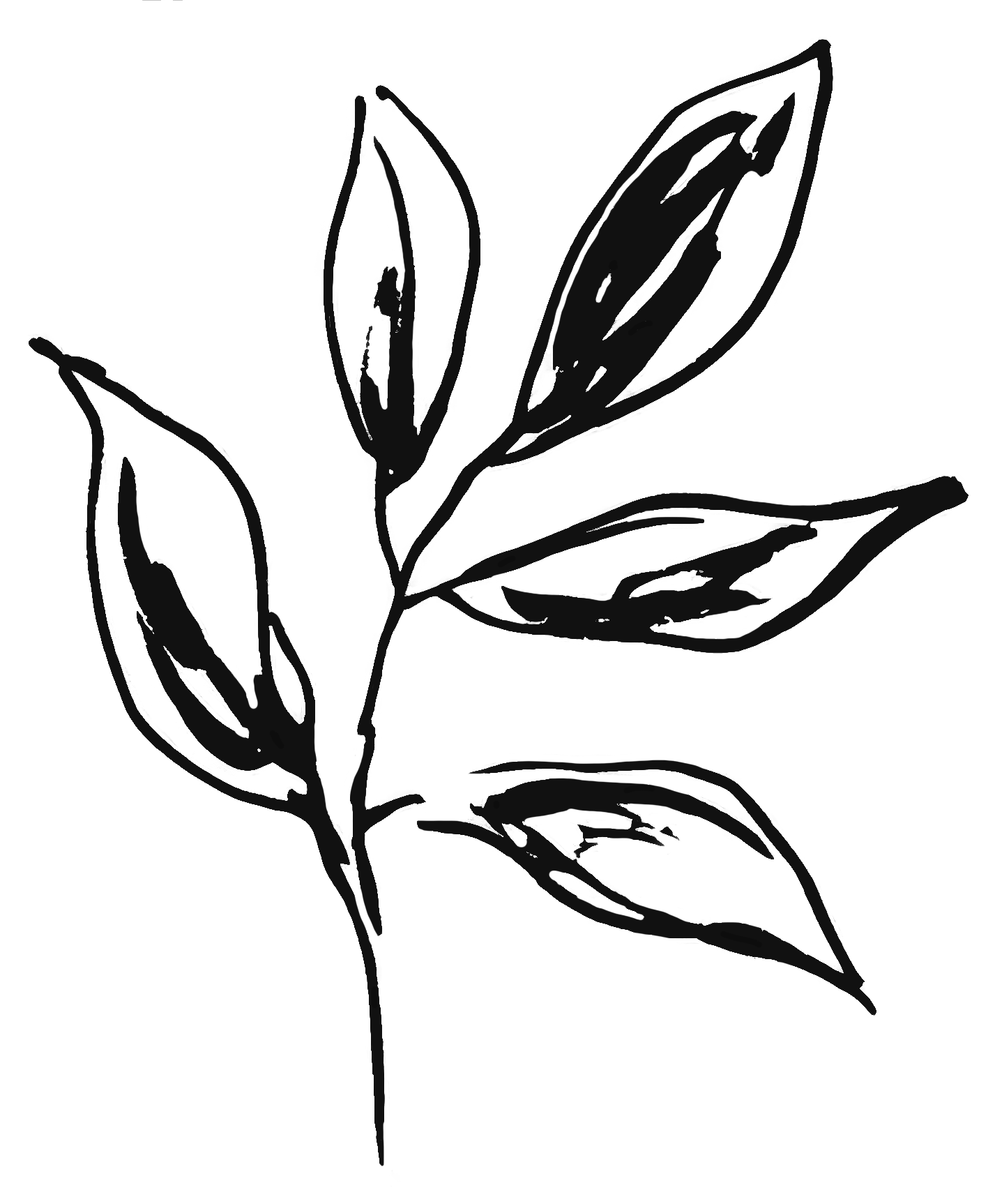 A simple black line drawing of a flower with three large petals, a smaller petal, and a long stem with leaves.