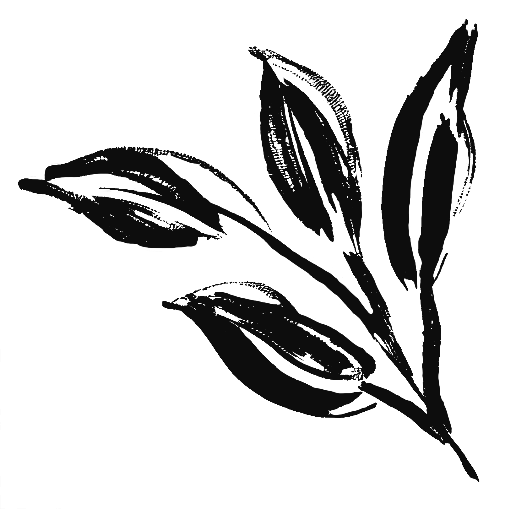 A dark, monochromatic illustration of a flower with elongated petals and leaves, rendered in a minimalist and abstract style.