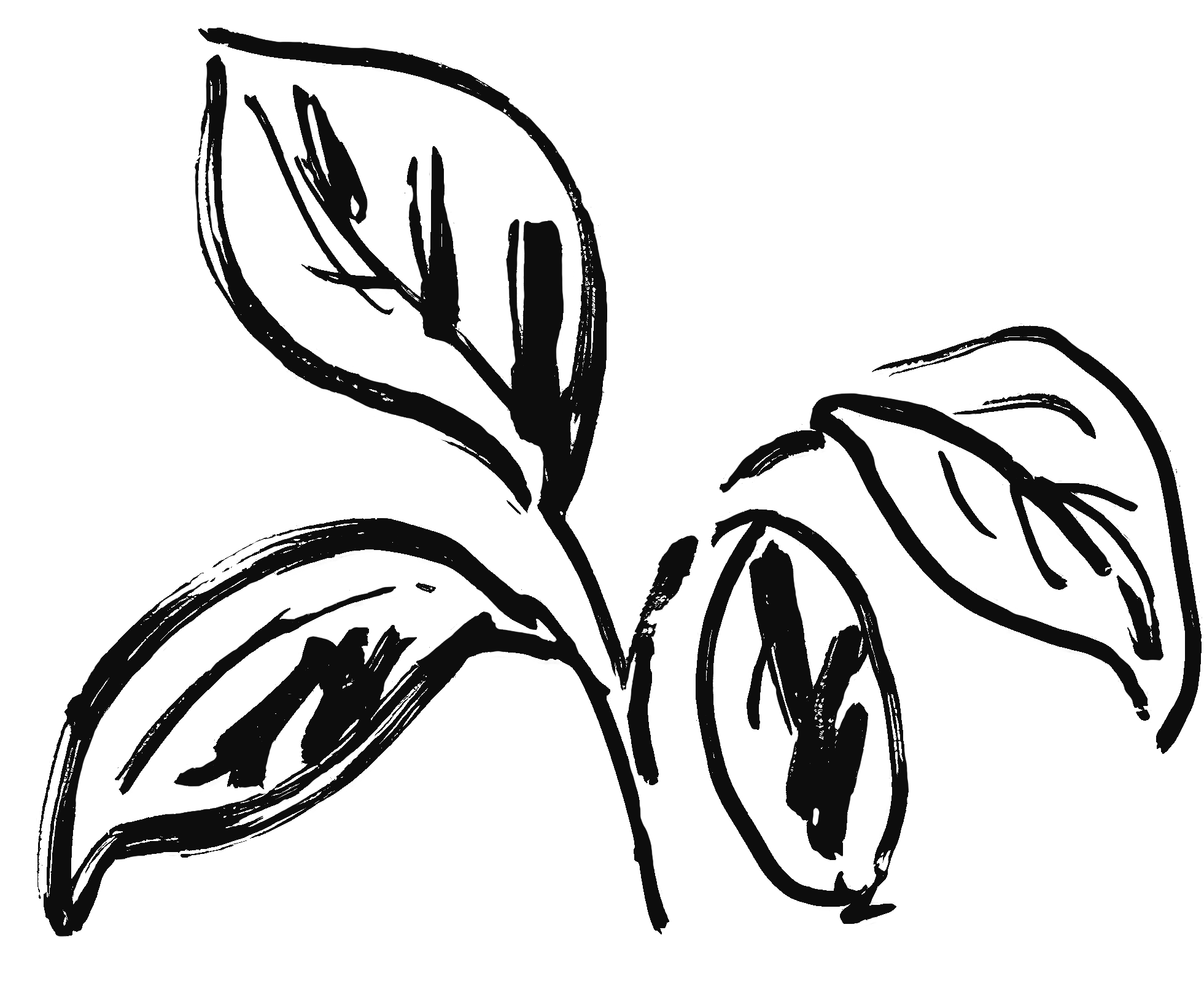 A black and white sketch of a rose flower with swirling vines in the background.