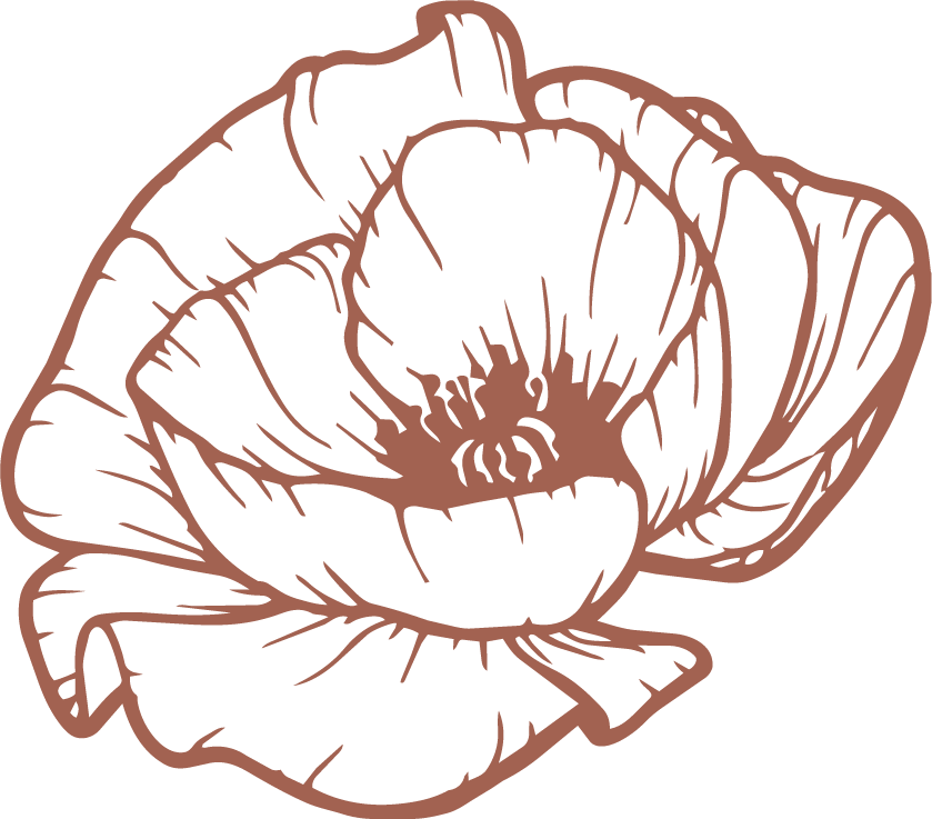 Line drawing of a poppy flower in brown lines on black background