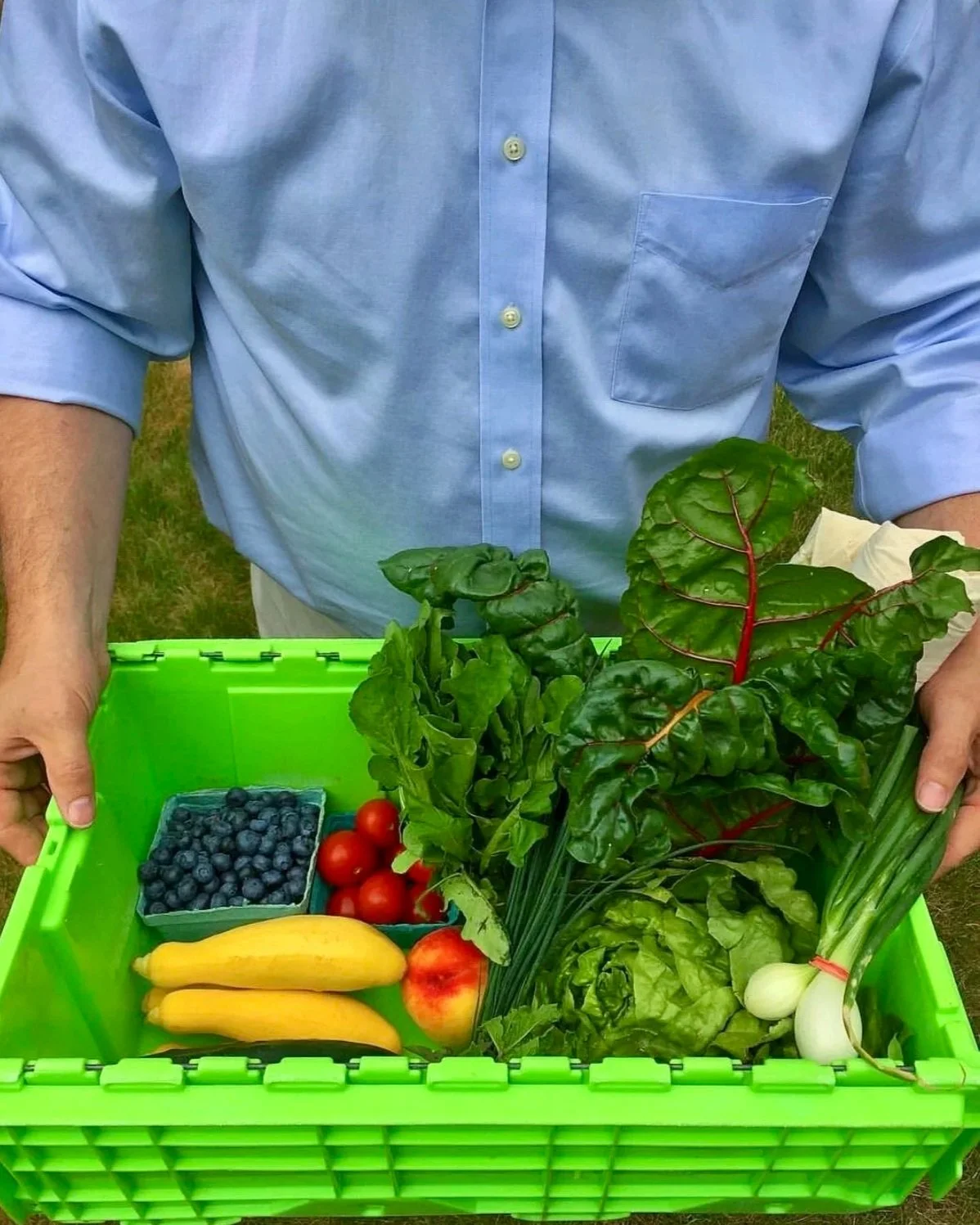Image of a man with a light blue button-up shirt holding a bright green box filled with vibrant produce. From the left, the box contains blueberries, yellow squash, tomatoes, a peach, rainbow chard, lettuce, and onions.