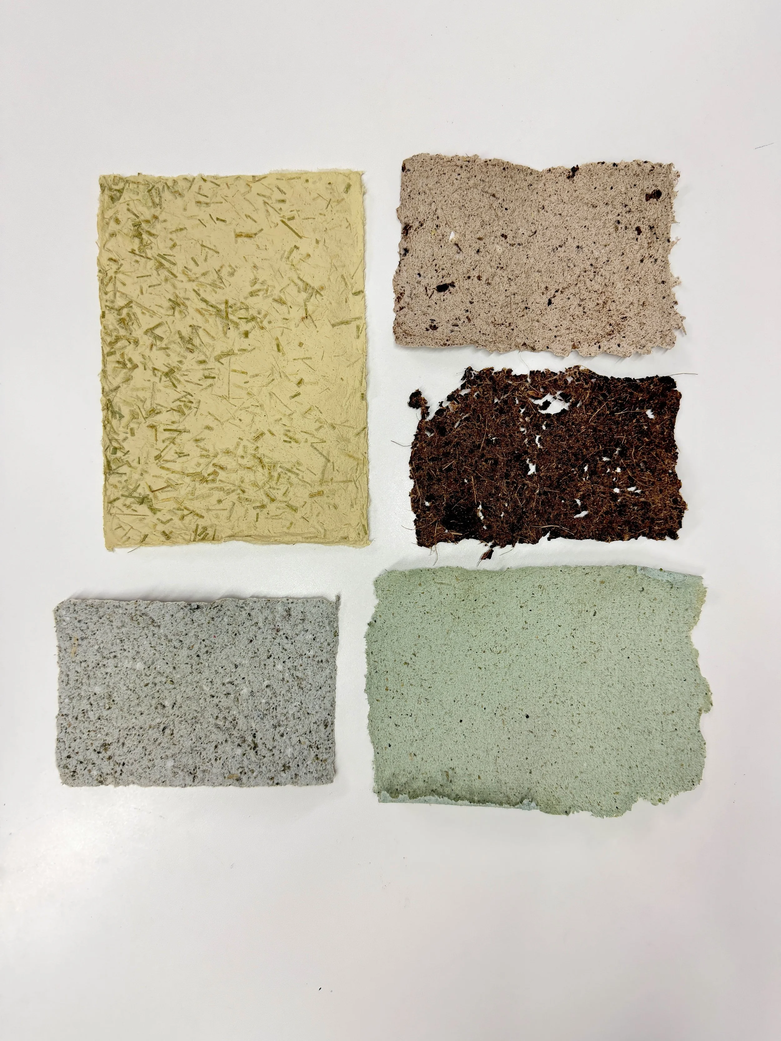 Paper making: Nov. 14th, 11am-3pm