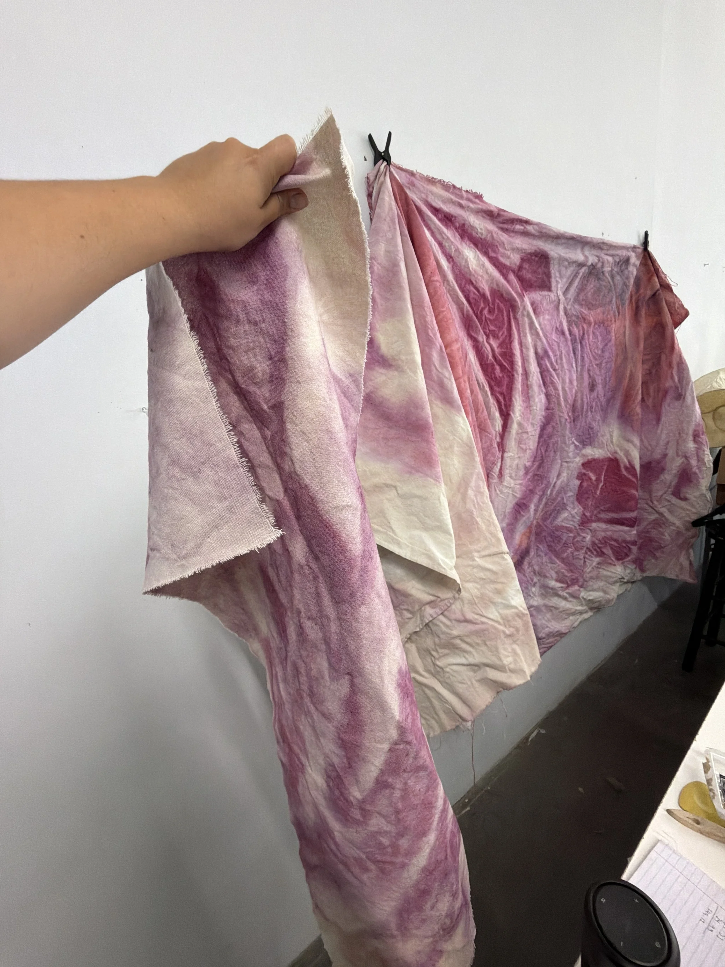 Natural Dyes: Jan. 9th, 12-3pm