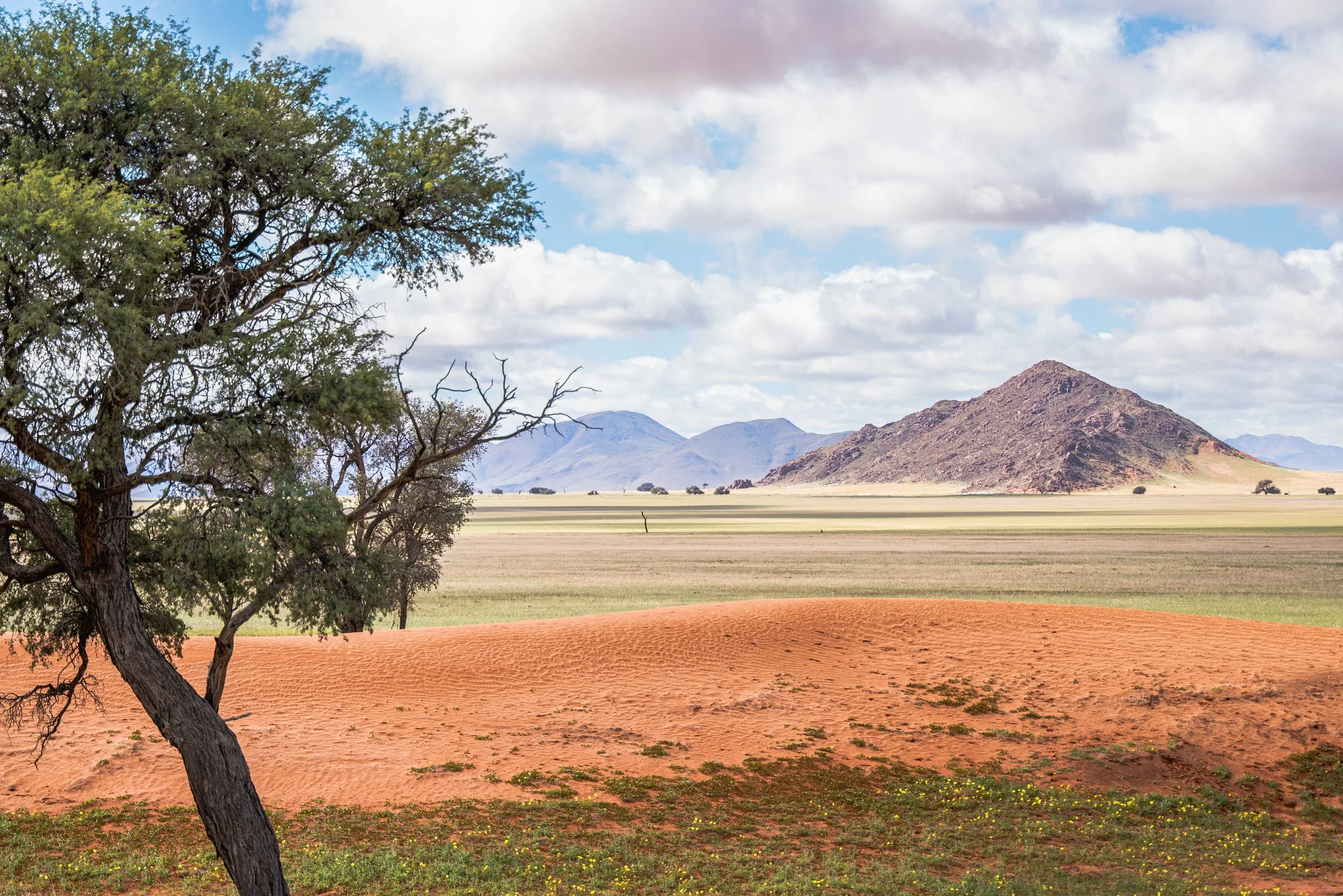 Namibia, Africa.