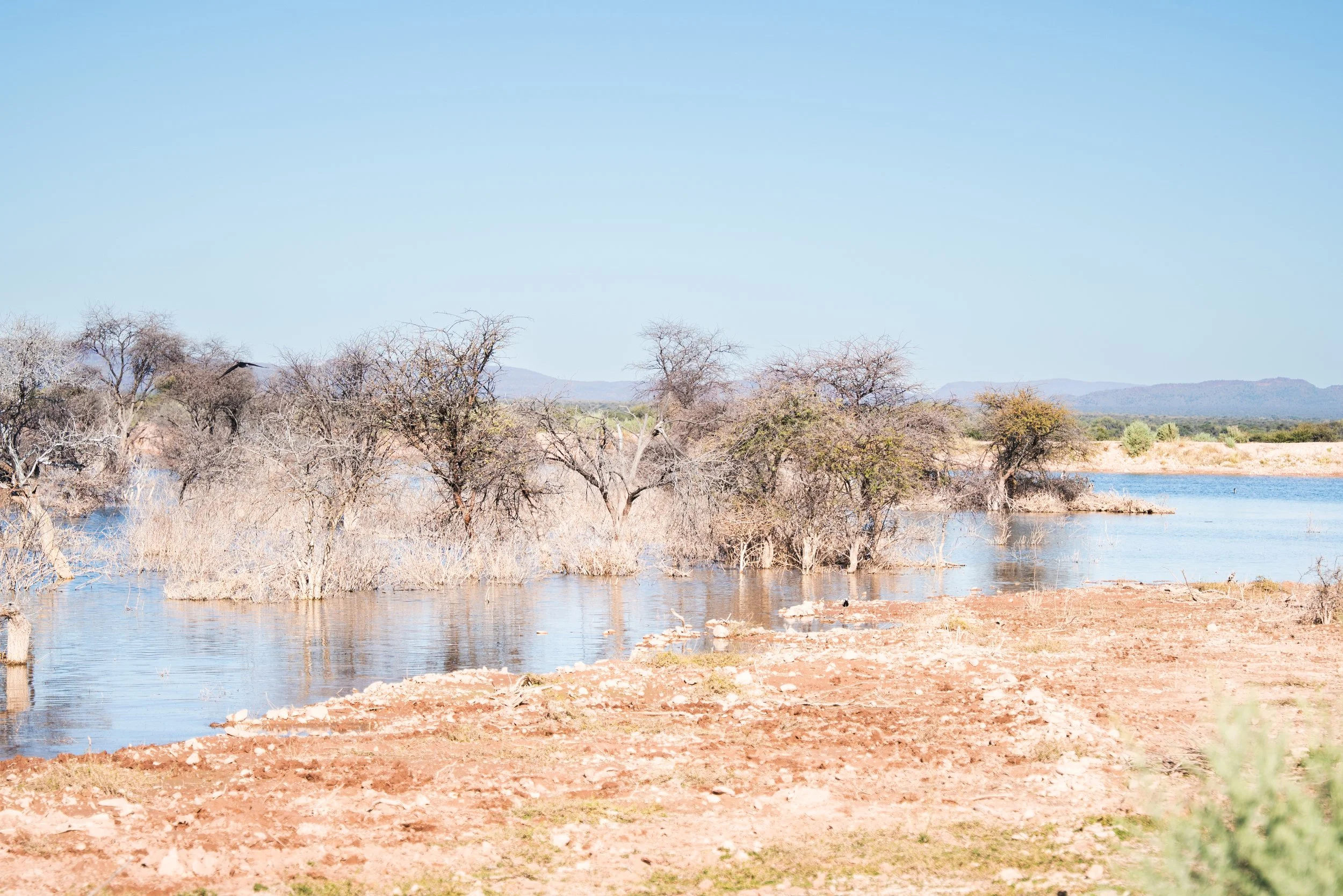 Namibia, Africa.