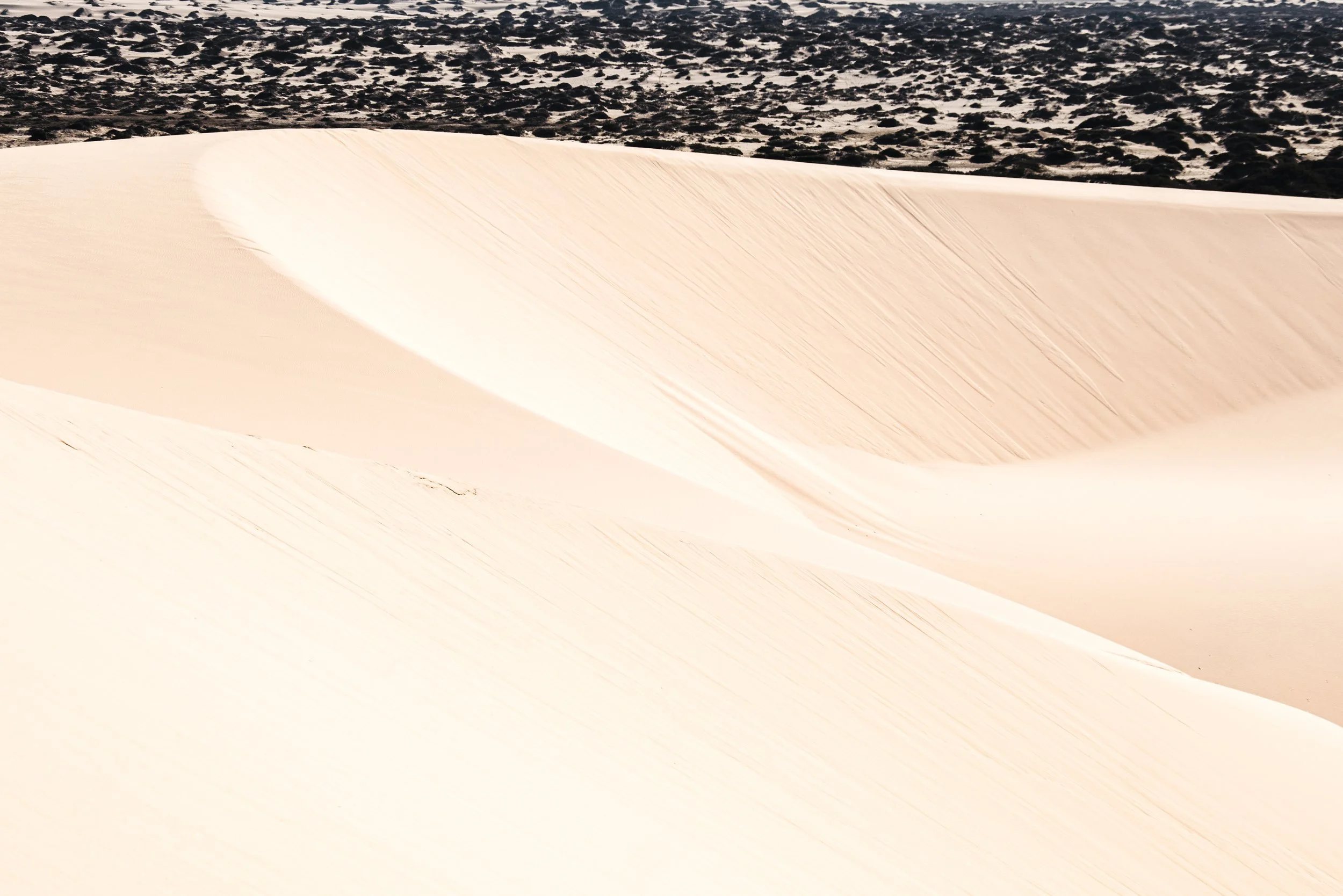 Namibia, Africa.